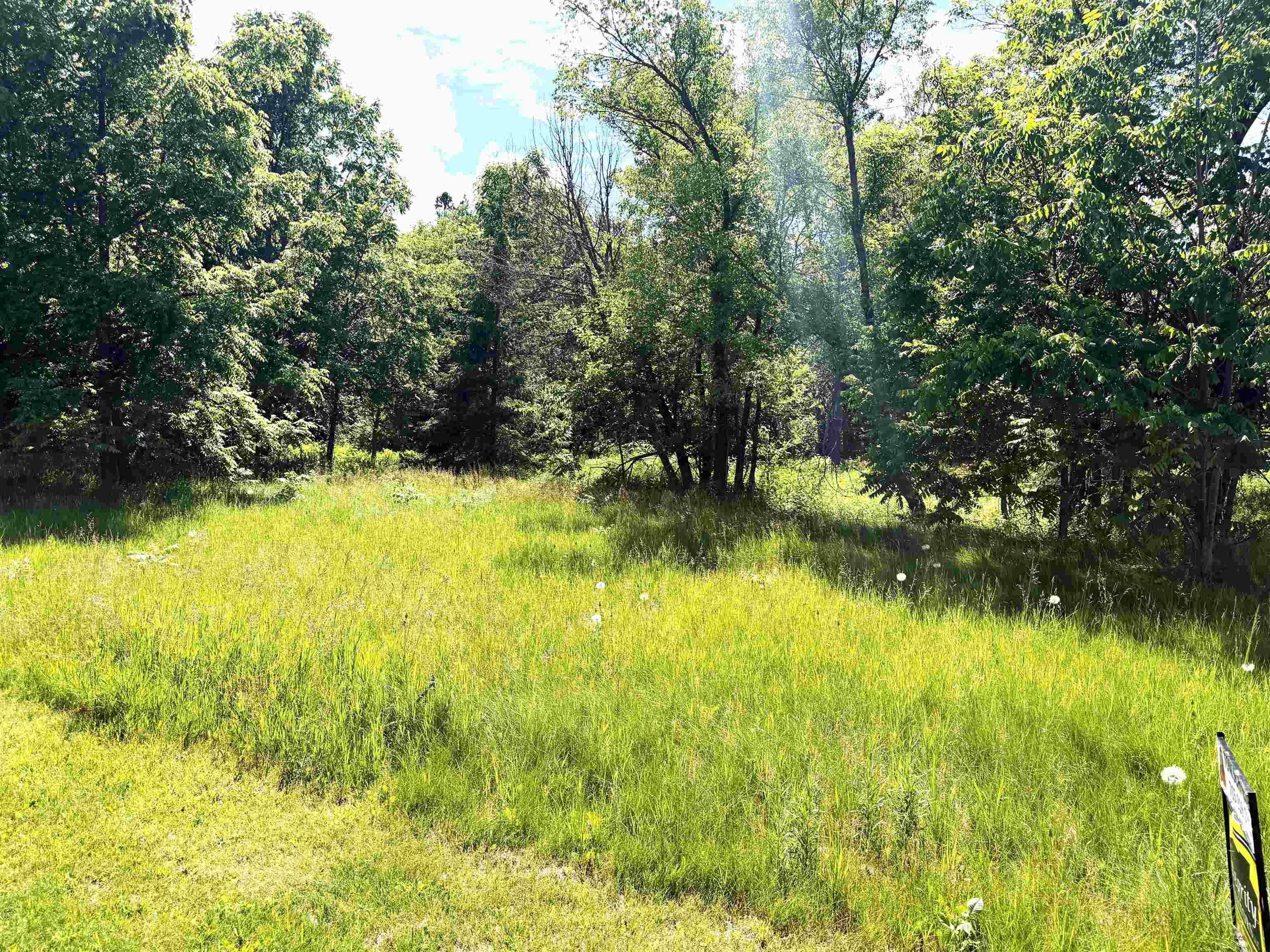 On S DORR STREET, Antigo, Wisconsin 54409, ,Land,For Sale,On S DORR STREET,22600894