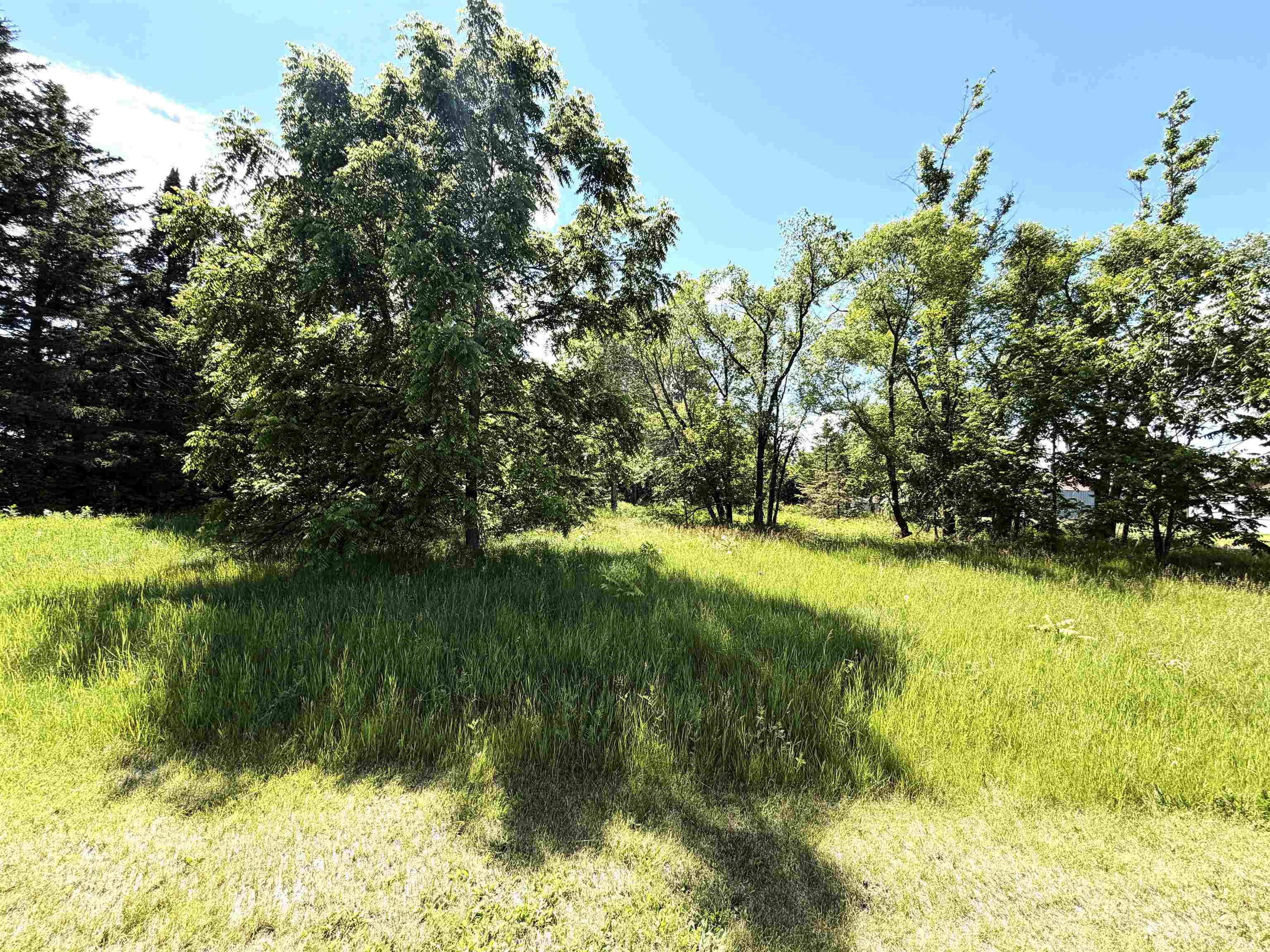 On S DORR STREET, Antigo, Wisconsin 54409, ,Land,For Sale,On S DORR STREET,22600894