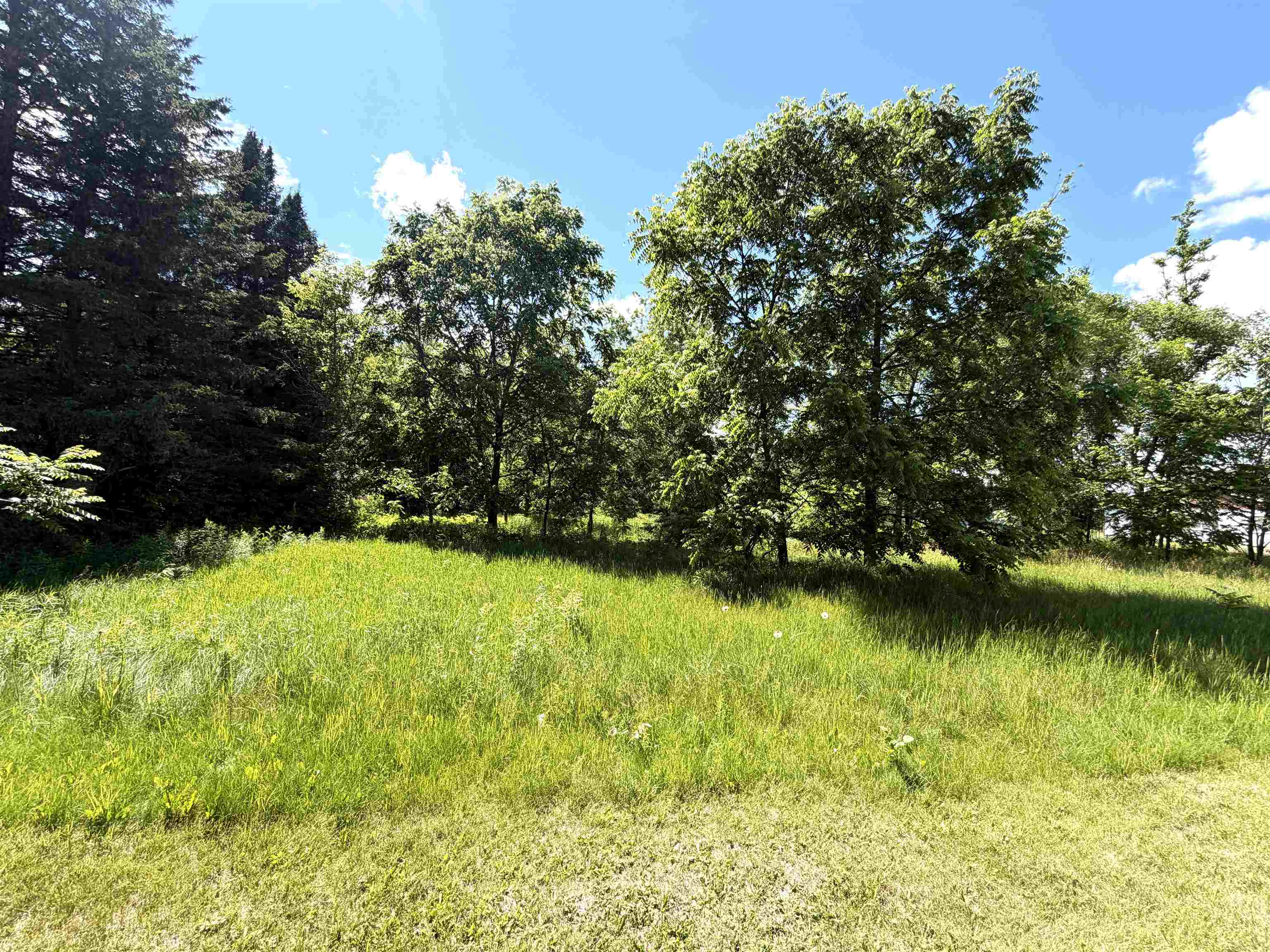 On S DORR STREET, Antigo, Wisconsin 54409, ,Land,For Sale,On S DORR STREET,22600894