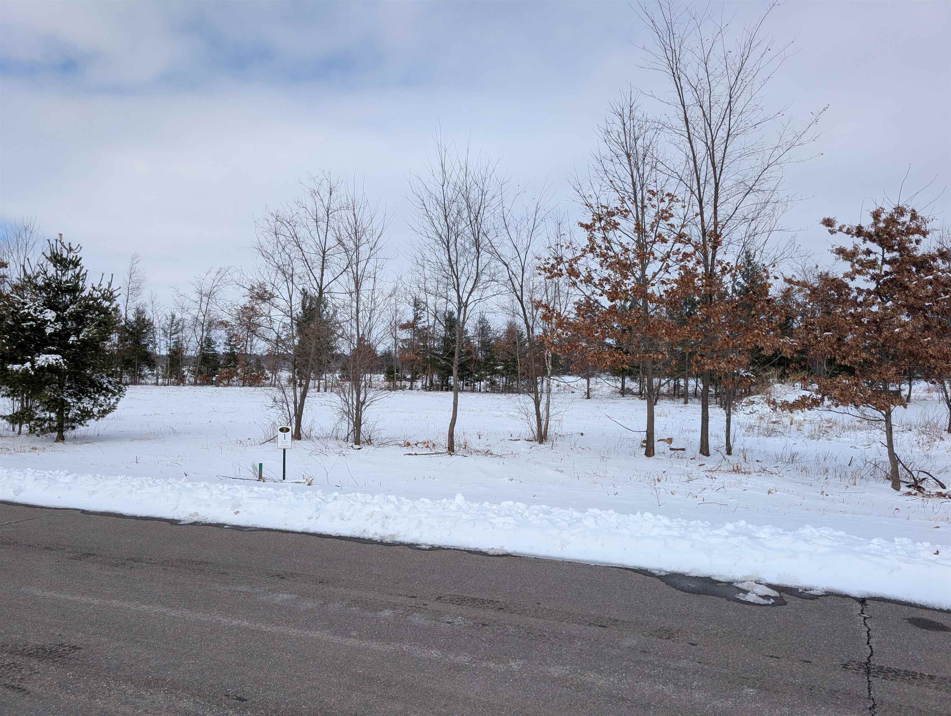 3231 WATERVIEW DRIVE, BIRON, Wisconsin 54494, ,Land,For Sale,3231 WATERVIEW DRIVE,22600896