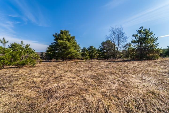 2305 BEECHER AVENUE, Wausau, Wisconsin 54401, ,Land,For Sale,2305 BEECHER AVENUE,22600901