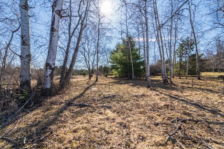 2305 BEECHER AVENUE, Wausau, Wisconsin 54401, ,Land,For Sale,2305 BEECHER AVENUE,22600901