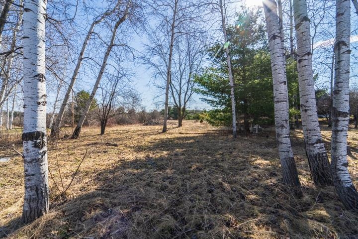 2305 BEECHER AVENUE, Wausau, Wisconsin 54401, ,Land,For Sale,2305 BEECHER AVENUE,22600901