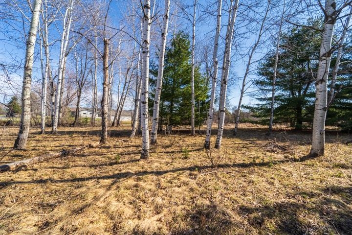 2305 BEECHER AVENUE, Wausau, Wisconsin 54401, ,Land,For Sale,2305 BEECHER AVENUE,22600901