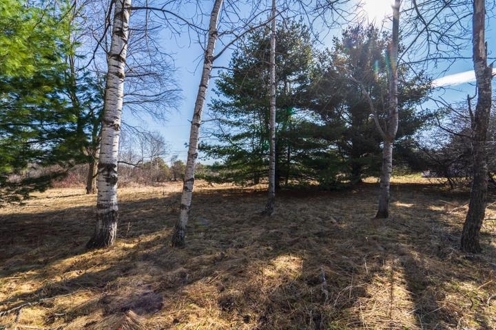 2305 BEECHER AVENUE, Wausau, Wisconsin 54401, ,Land,For Sale,2305 BEECHER AVENUE,22600901