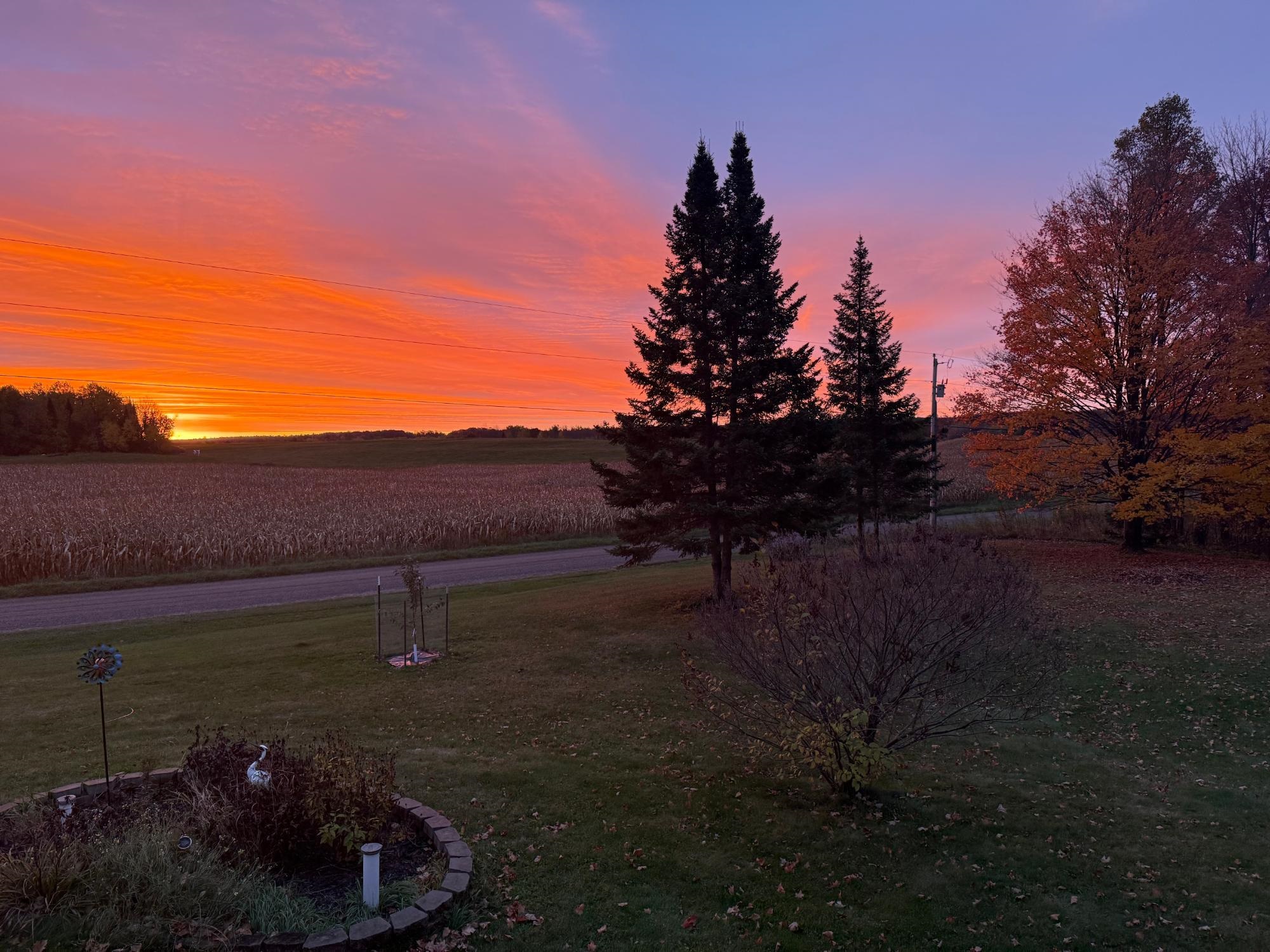 N1979 S WEST ROAD, Ogema, Wisconsin 54459, 3 Bedrooms Bedrooms, ,2 BathroomsBathrooms,Residential,For Sale,N1979 S WEST ROAD,22600984