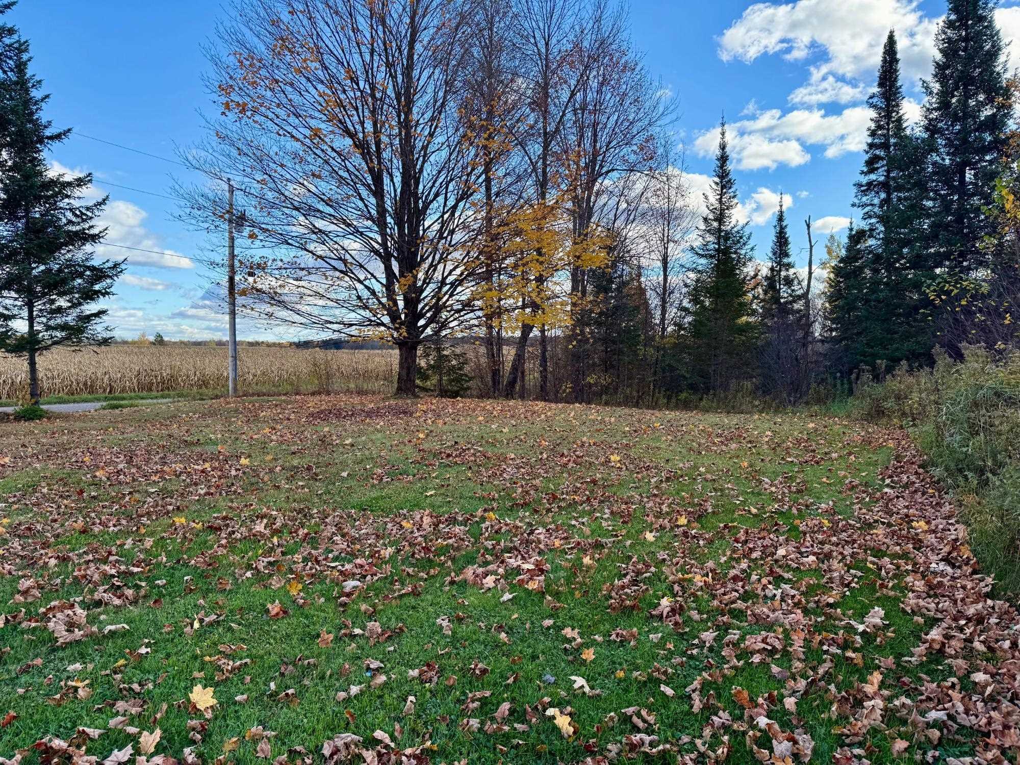 N1979 S WEST ROAD, Ogema, Wisconsin 54459, 3 Bedrooms Bedrooms, ,2 BathroomsBathrooms,Residential,For Sale,N1979 S WEST ROAD,22600984