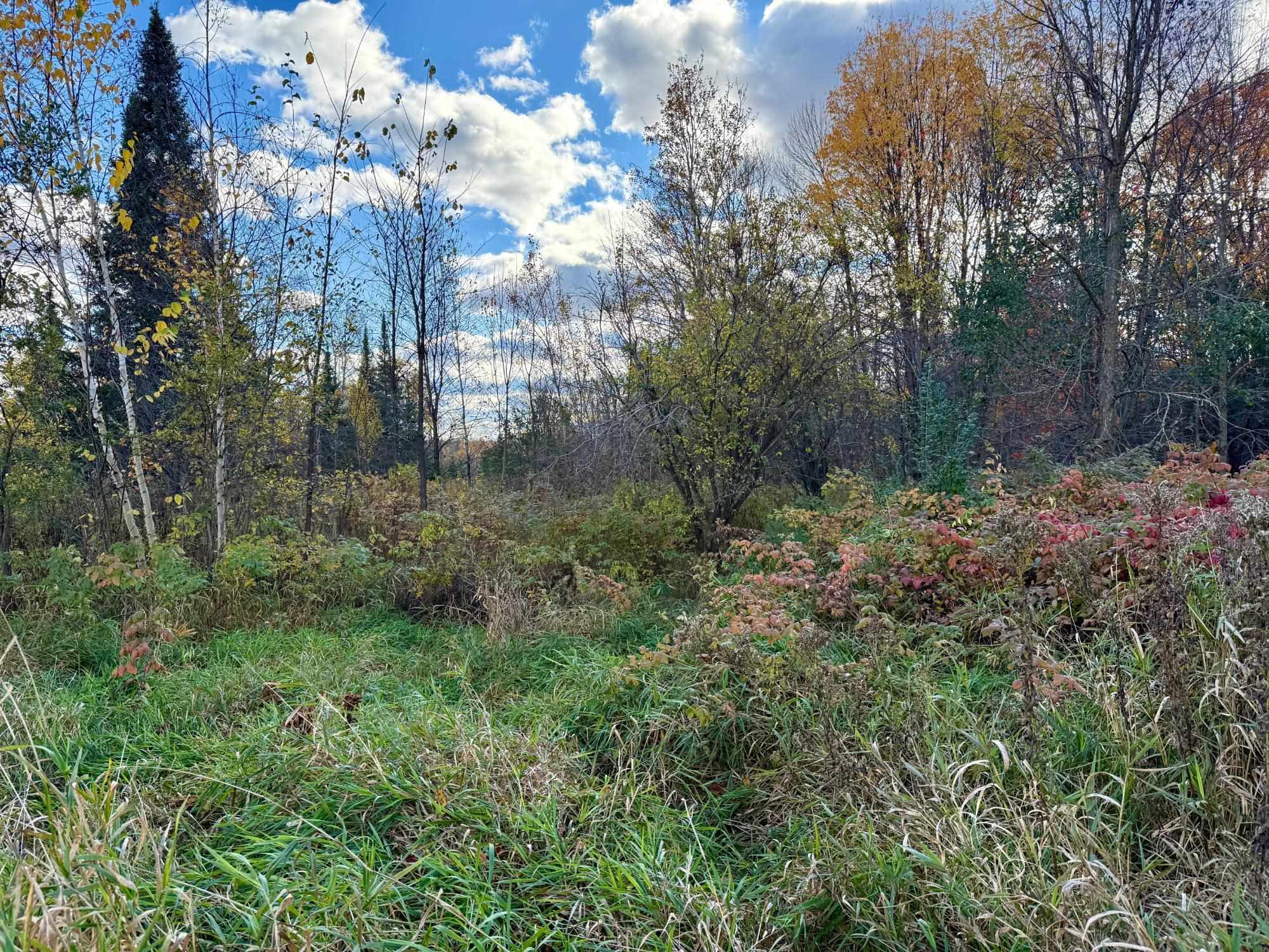 N1979 S WEST ROAD, Ogema, Wisconsin 54459, 3 Bedrooms Bedrooms, ,2 BathroomsBathrooms,Residential,For Sale,N1979 S WEST ROAD,22600984