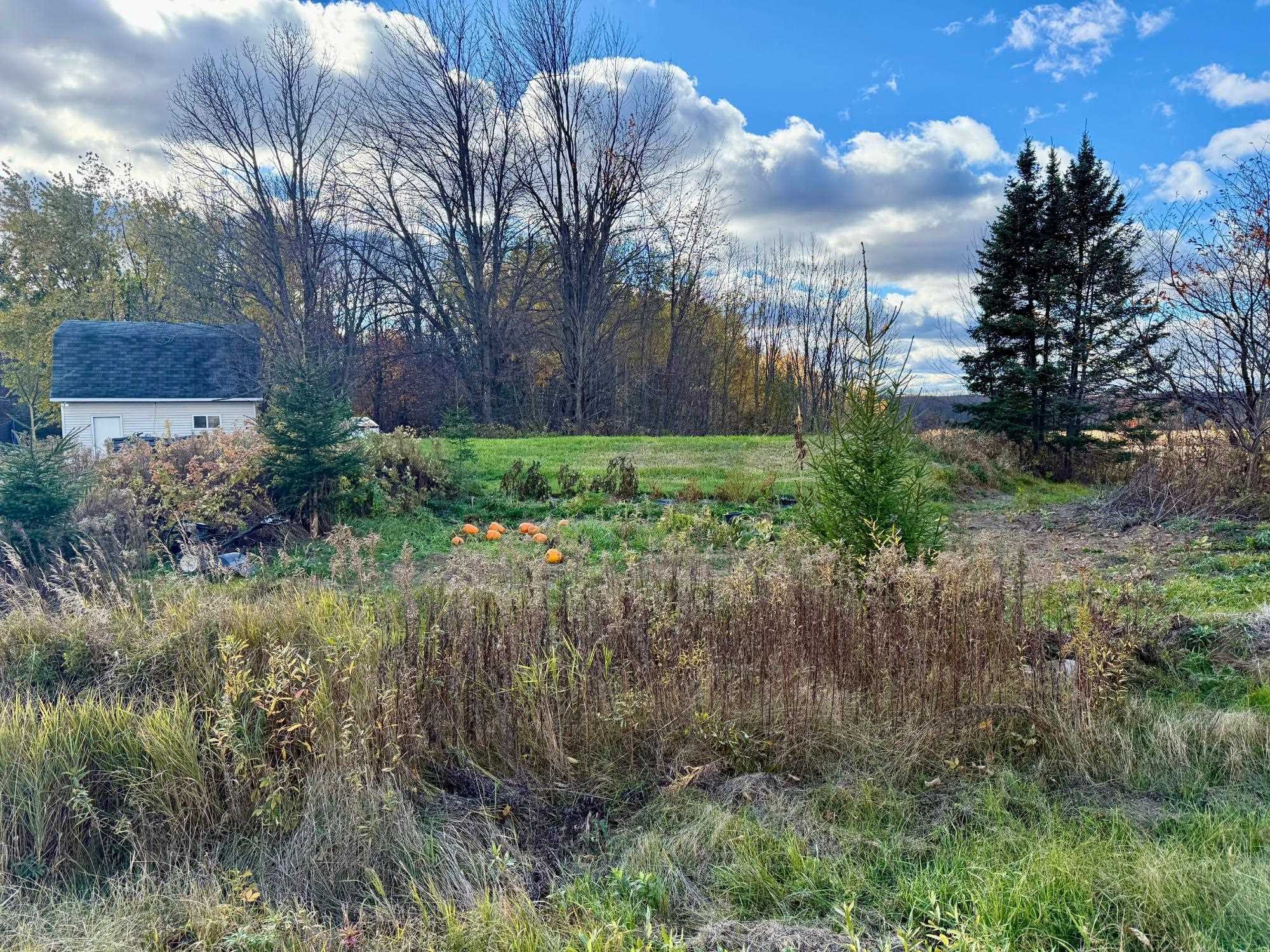 N1979 S WEST ROAD, Ogema, Wisconsin 54459, 3 Bedrooms Bedrooms, ,2 BathroomsBathrooms,Residential,For Sale,N1979 S WEST ROAD,22600984