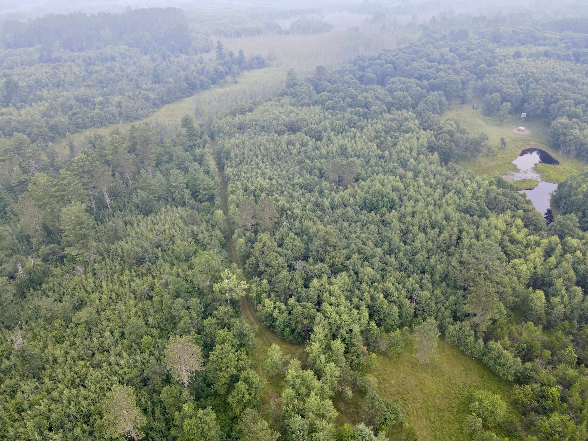 9880 SIEMERING DRIVE, Tomahawk, Wisconsin 54487, ,Land,For Sale,9880 SIEMERING DRIVE,22600988