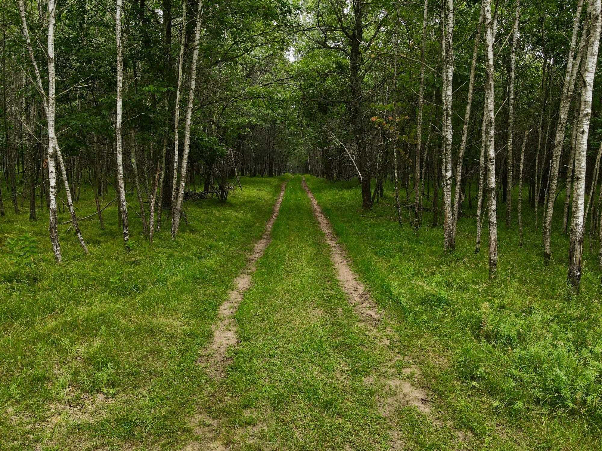 9880 SIEMERING DRIVE, Tomahawk, Wisconsin 54487, ,Land,For Sale,9880 SIEMERING DRIVE,22600988