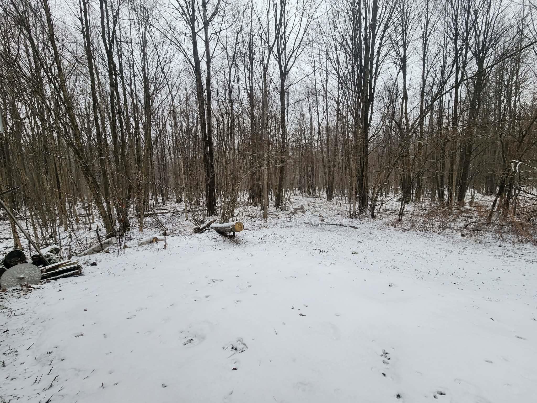 W5010 HICKORY ROAD, Owen, Wisconsin 54460, ,Land,For Sale,W5010 HICKORY ROAD,22600993