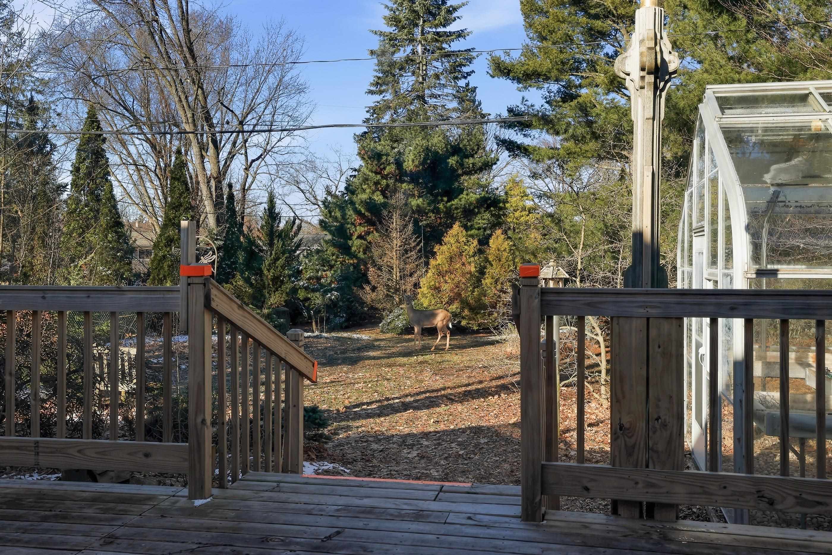 908 GREEN AVENUE, Stevens Point, Wisconsin 54481, 3 Bedrooms Bedrooms, ,1 BathroomBathrooms,Residential,For Sale,908 GREEN AVENUE,22601049