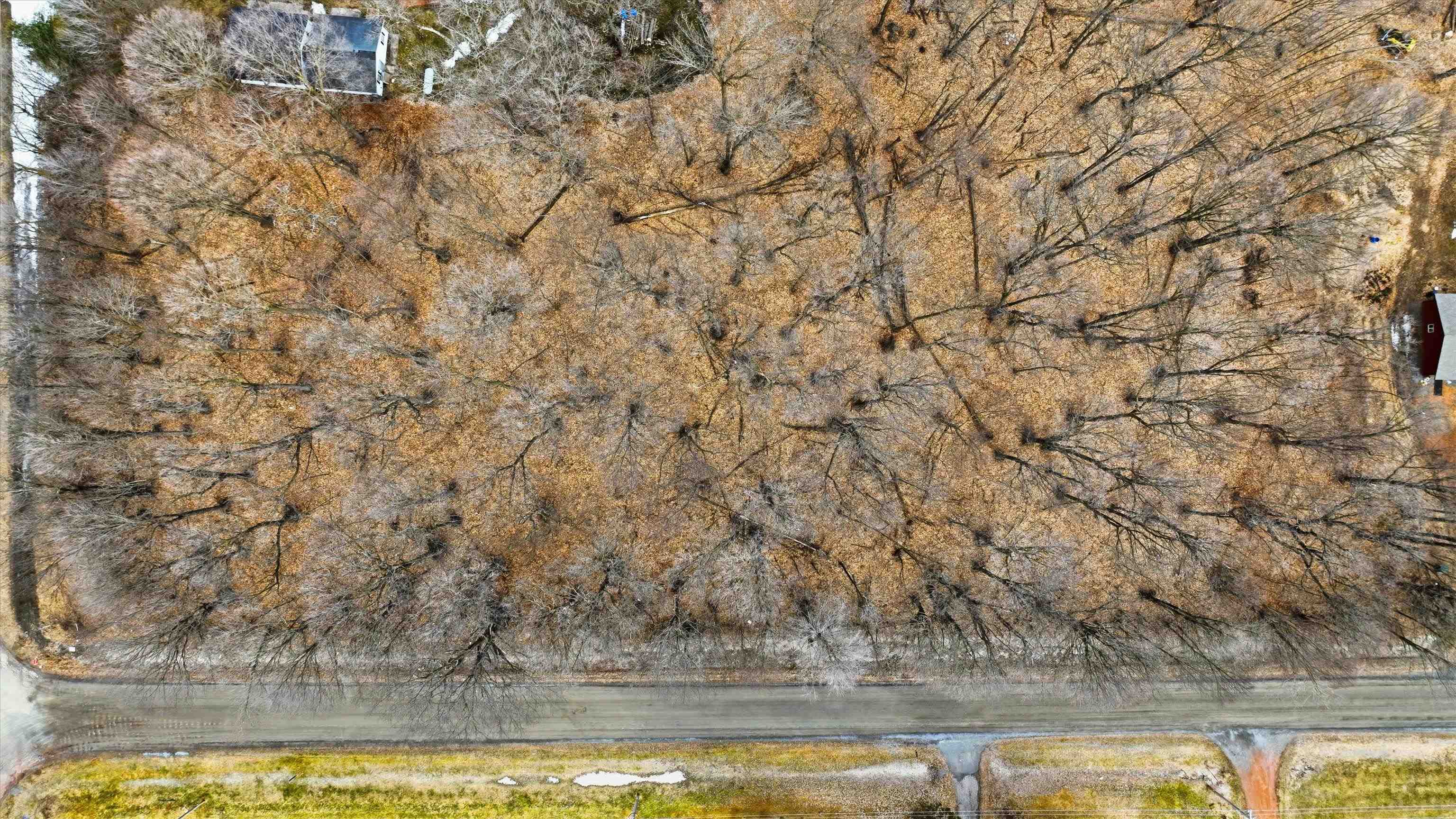 Lot 1 COUNTY ROAD C, Mosinee, Wisconsin 54455, ,Land,For Sale,Lot 1 COUNTY ROAD C,22601052