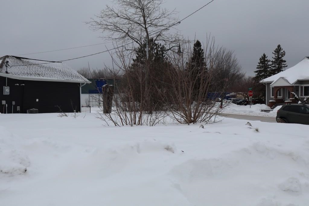 459 DIVISION STREET, Park Falls, Wisconsin 54552, ,Land,For Sale,459 DIVISION STREET,22601068