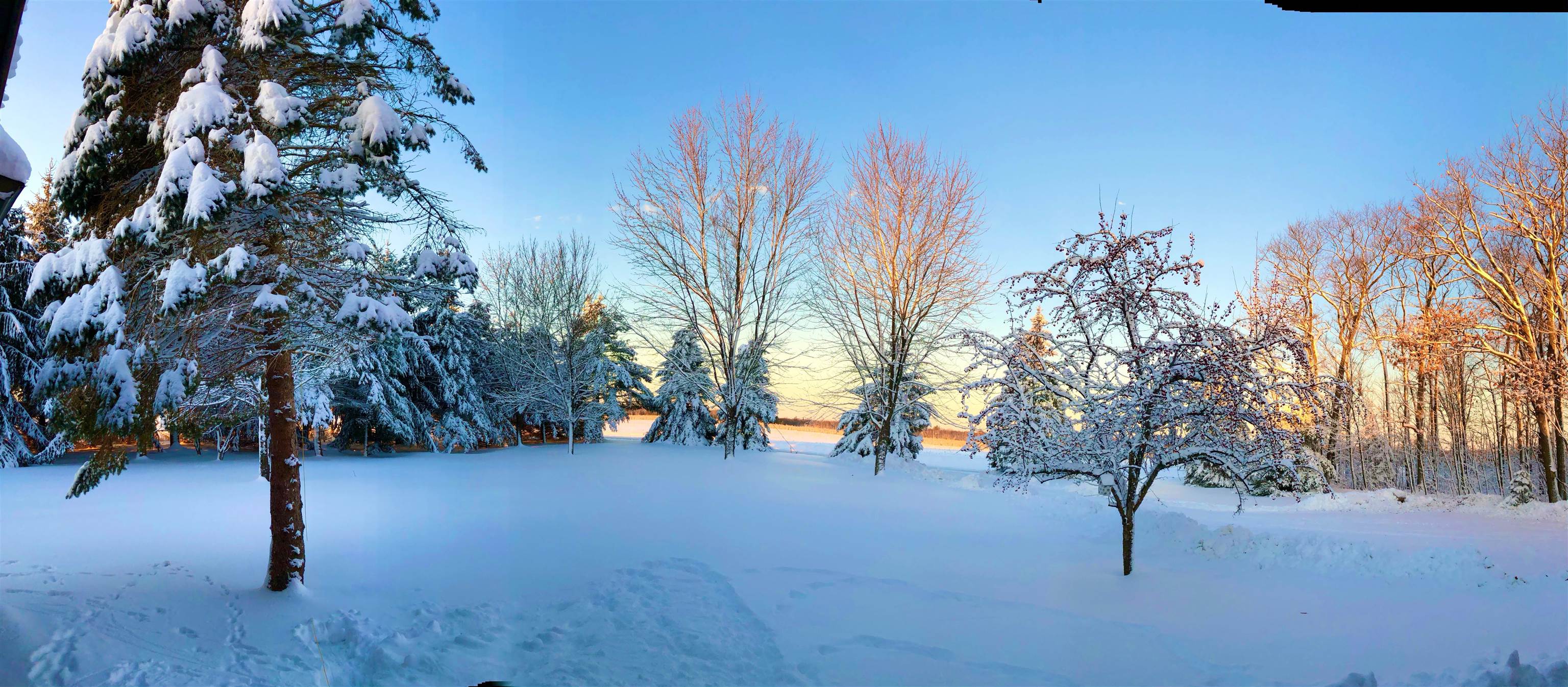 204777 COUNTY ROAD I, Wittenberg, Wisconsin 54499, 3 Bedrooms Bedrooms, ,2 BathroomsBathrooms,Residential,For Sale,204777 COUNTY ROAD I,22601076