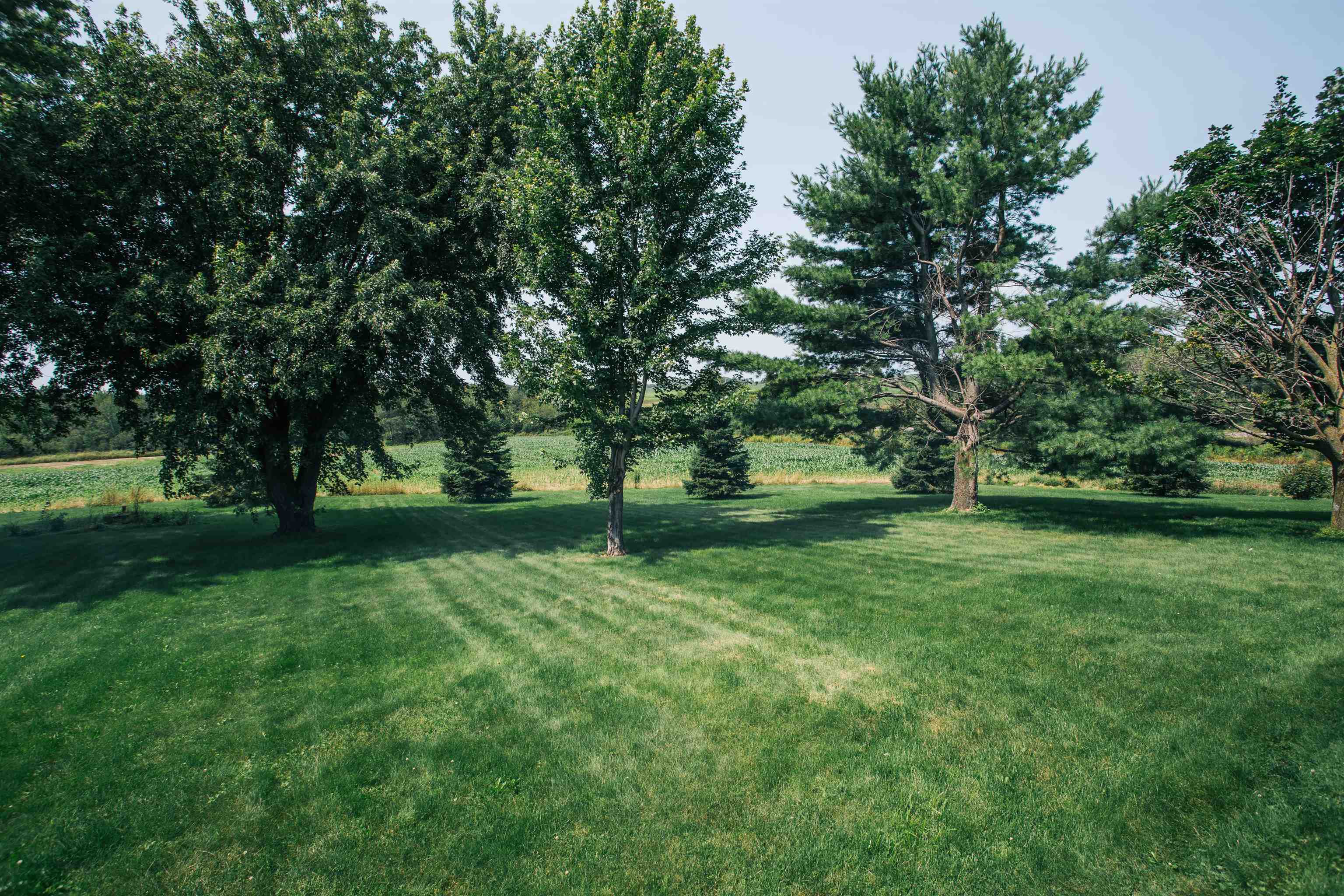 N6479 COUNTY ROAD K, Neillsville, Wisconsin 54456, 3 Bedrooms Bedrooms, ,2 BathroomsBathrooms,Residential,For Sale,N6479 COUNTY ROAD K,22601084