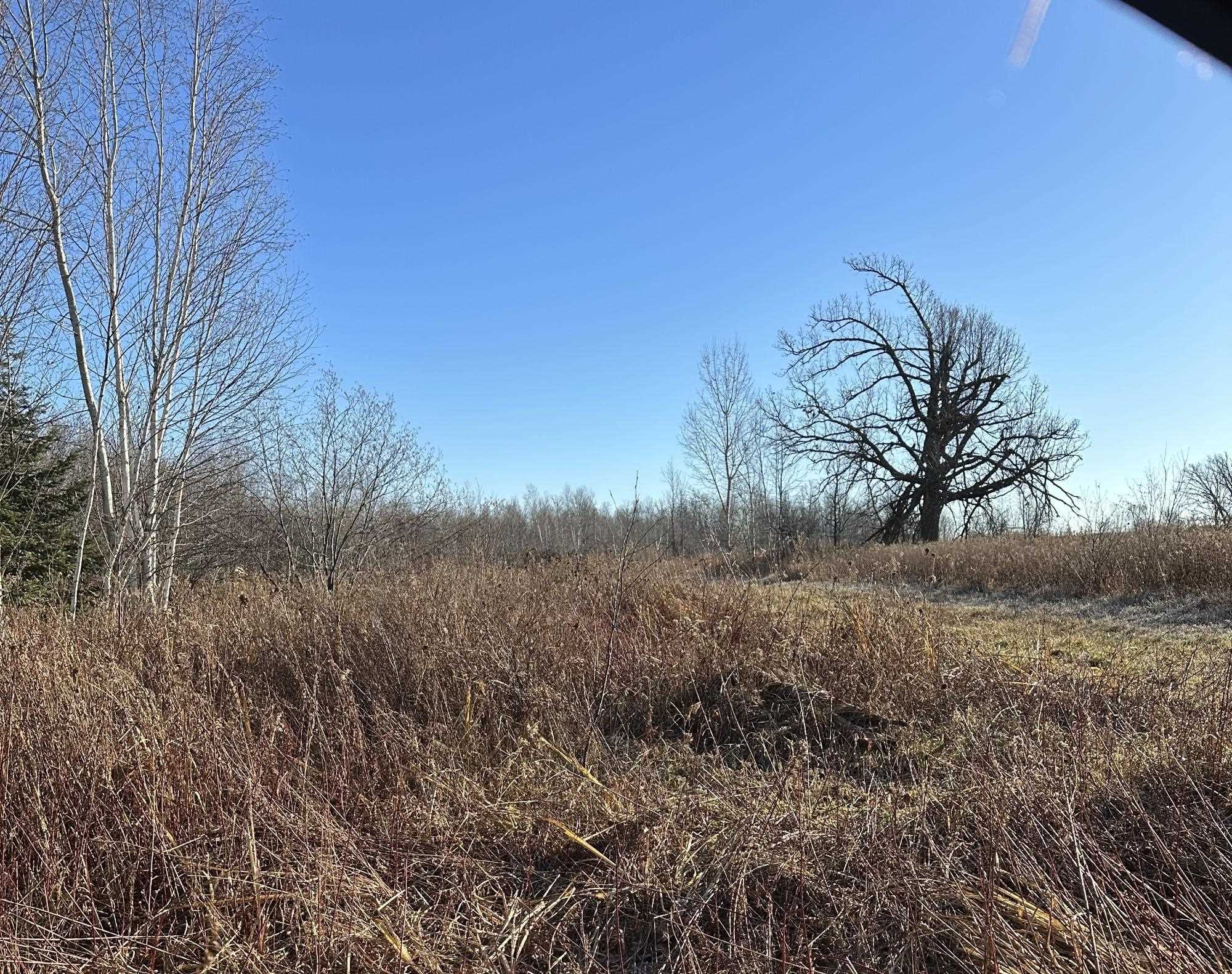 20 Acres on CLOVERLAND, Conrath, Wisconsin 54731, ,Land,For Sale,20 Acres on CLOVERLAND,22601088