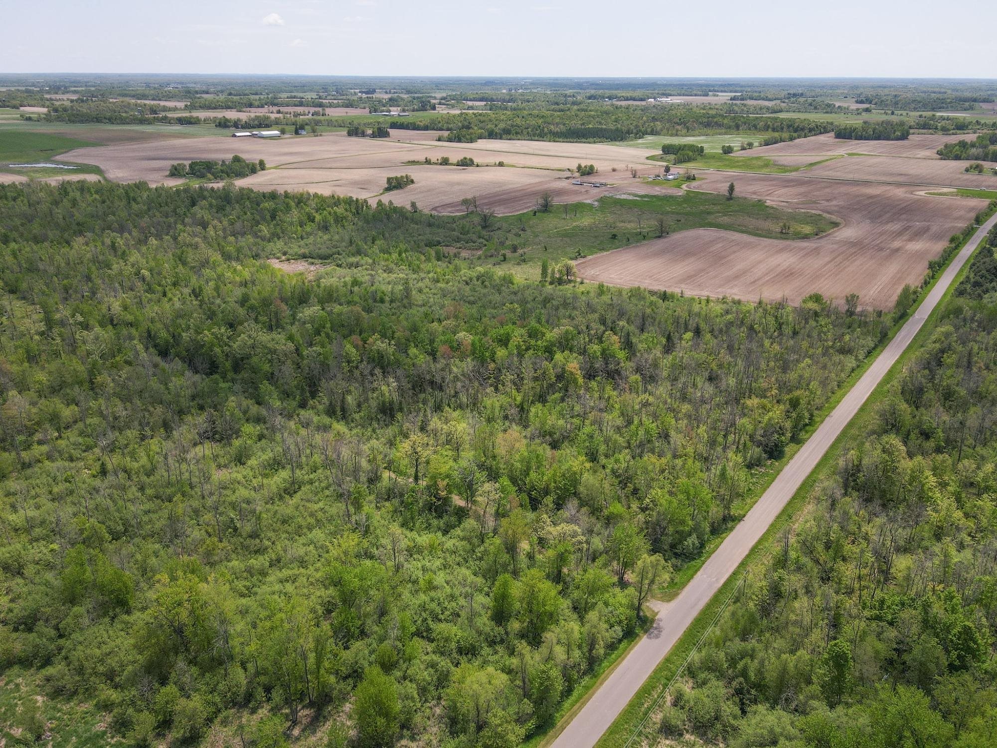 20 Acres on CLOVERLAND, Conrath, Wisconsin 54731, ,Land,For Sale,20 Acres on CLOVERLAND,22601088