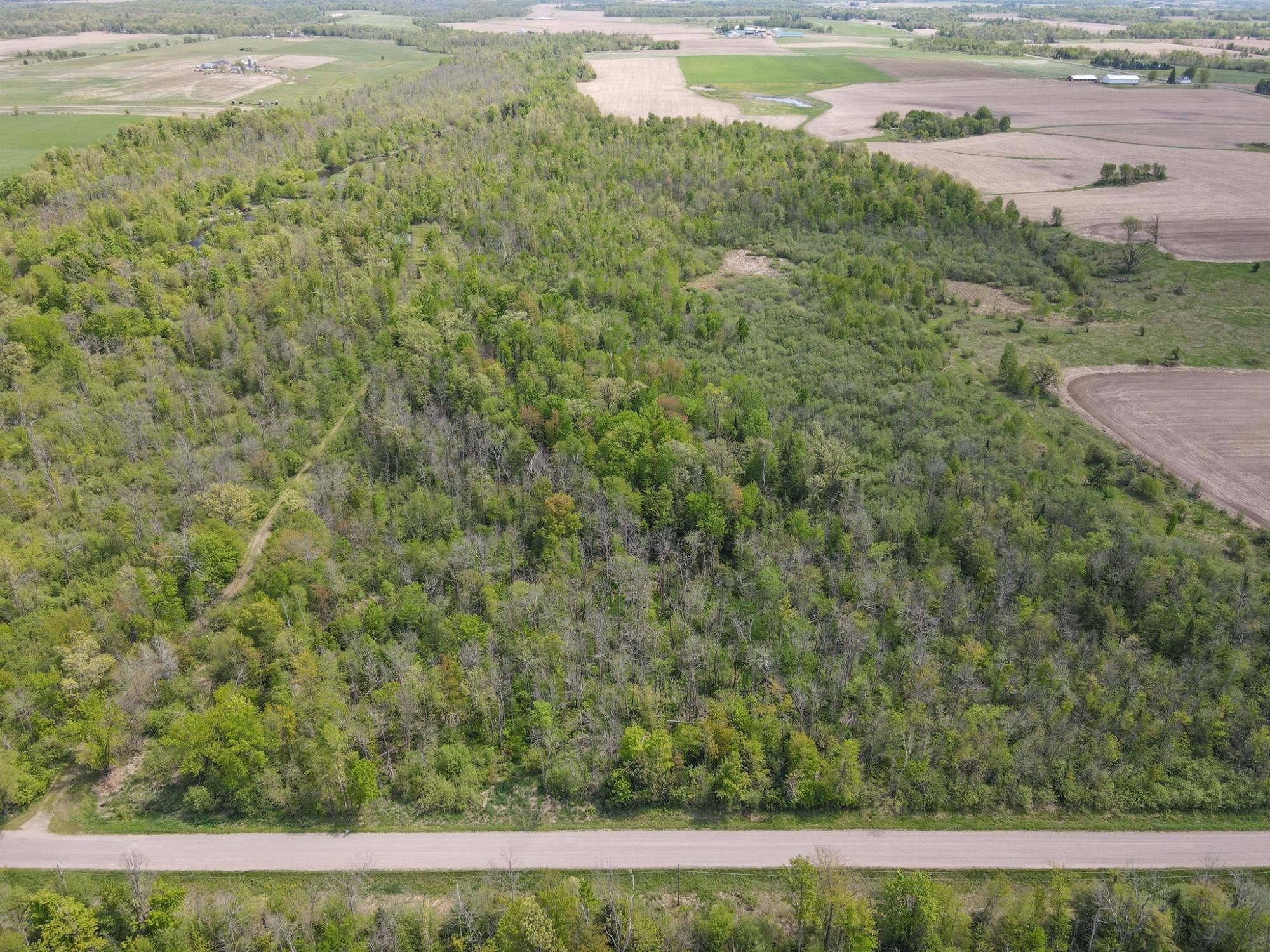 20 Acres on CLOVERLAND, Conrath, Wisconsin 54731, ,Land,For Sale,20 Acres on CLOVERLAND,22601088