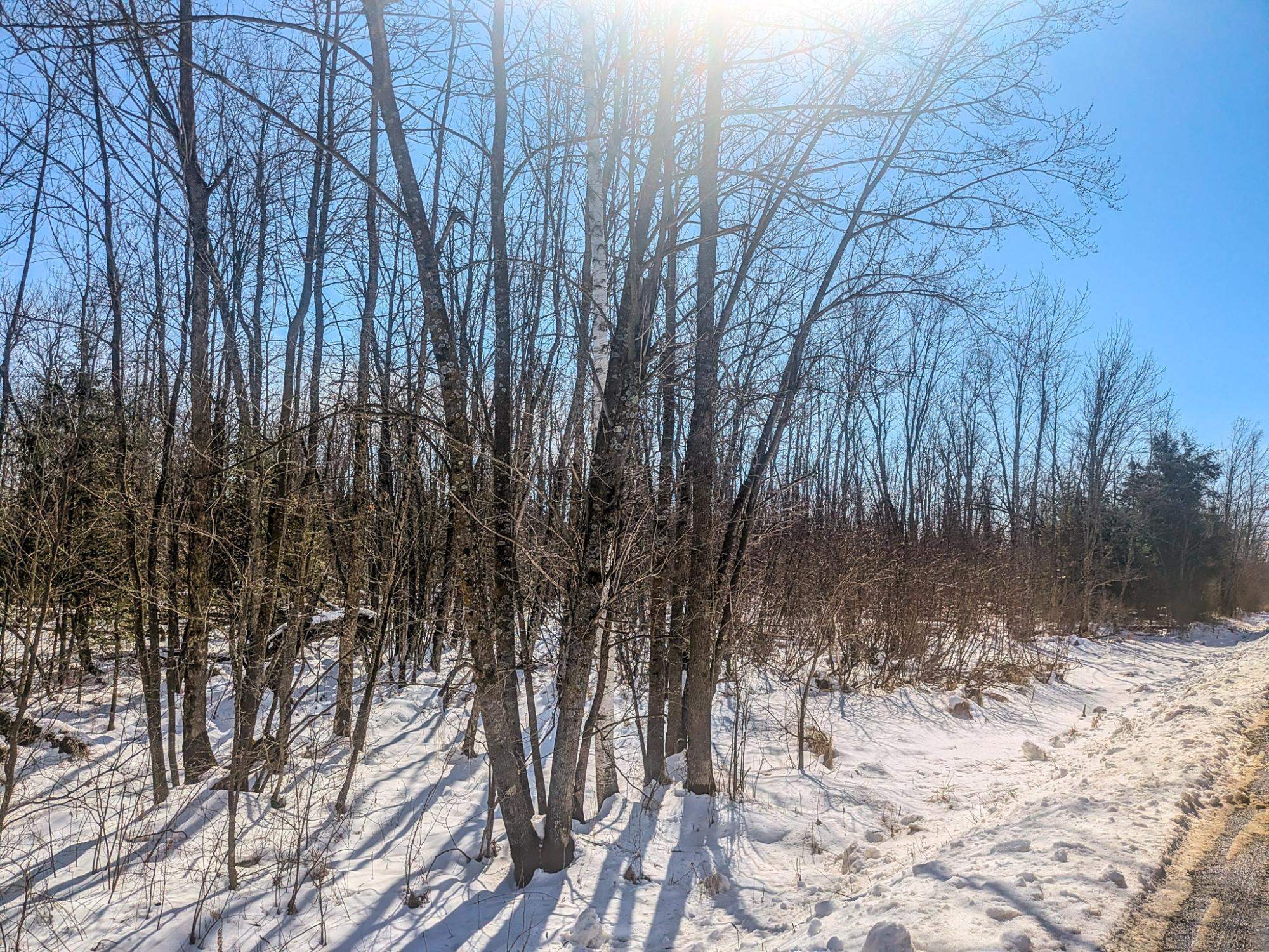 20 Acres on CLOVERLAND, Conrath, Wisconsin 54731, ,Land,For Sale,20 Acres on CLOVERLAND,22601088