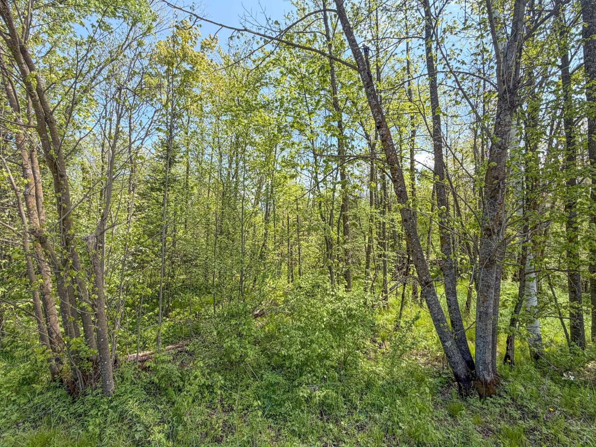 20 Acres on CLOVERLAND, Conrath, Wisconsin 54731, ,Land,For Sale,20 Acres on CLOVERLAND,22601088