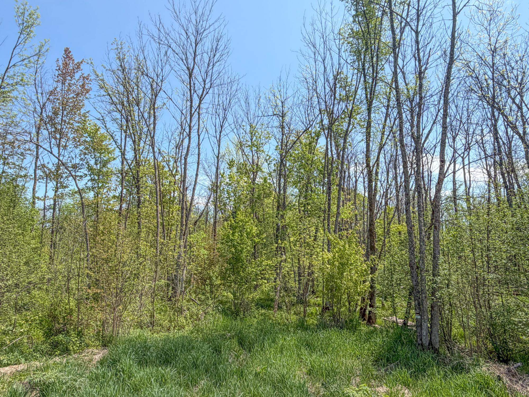 20 Acres on CLOVERLAND, Conrath, Wisconsin 54731, ,Land,For Sale,20 Acres on CLOVERLAND,22601088
