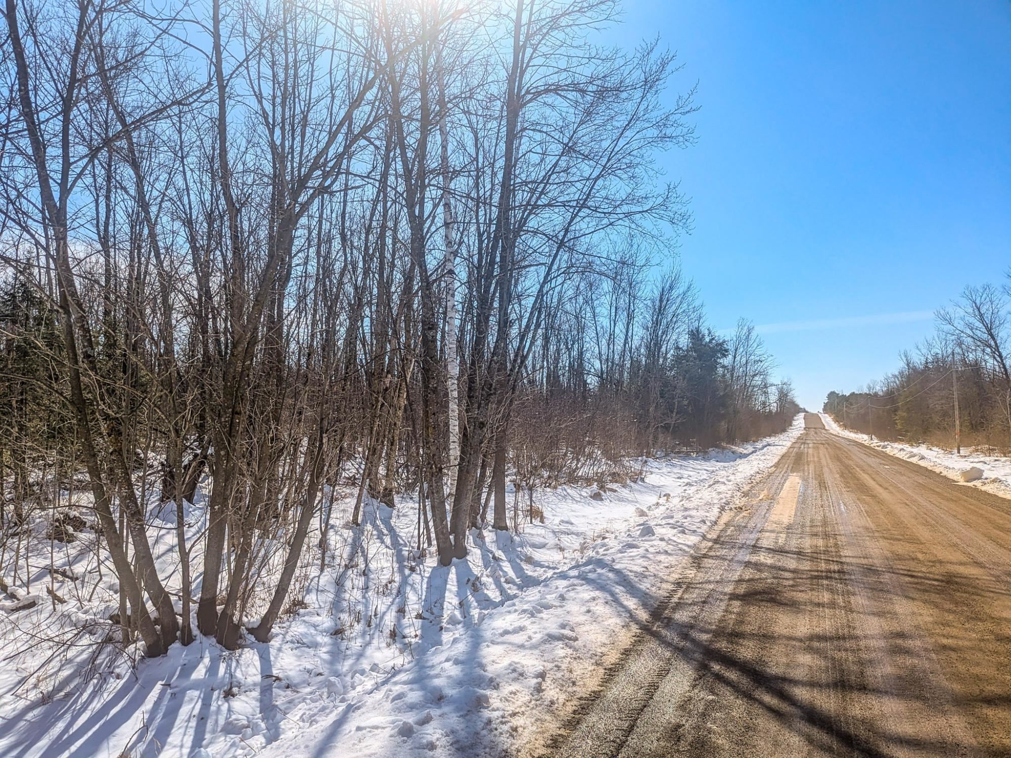 20 Acres on CLOVERLAND, Conrath, Wisconsin 54731, ,Land,For Sale,20 Acres on CLOVERLAND,22601088