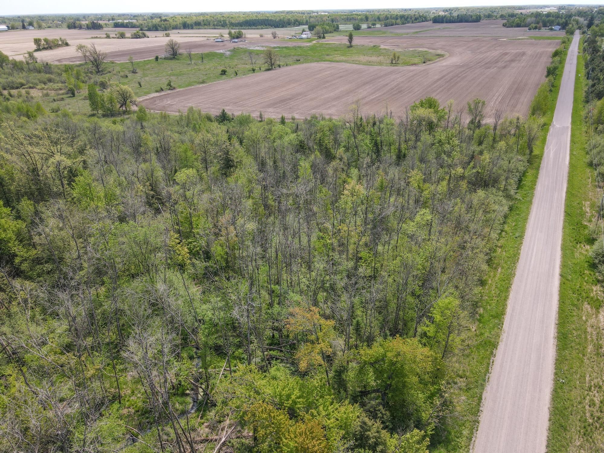 20 Acres on CLOVERLAND, Conrath, Wisconsin 54731, ,Land,For Sale,20 Acres on CLOVERLAND,22601088