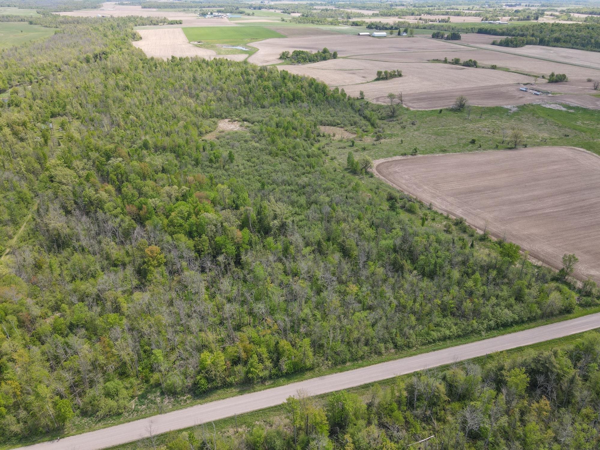 20 Acres on CLOVERLAND, Conrath, Wisconsin 54731, ,Land,For Sale,20 Acres on CLOVERLAND,22601088