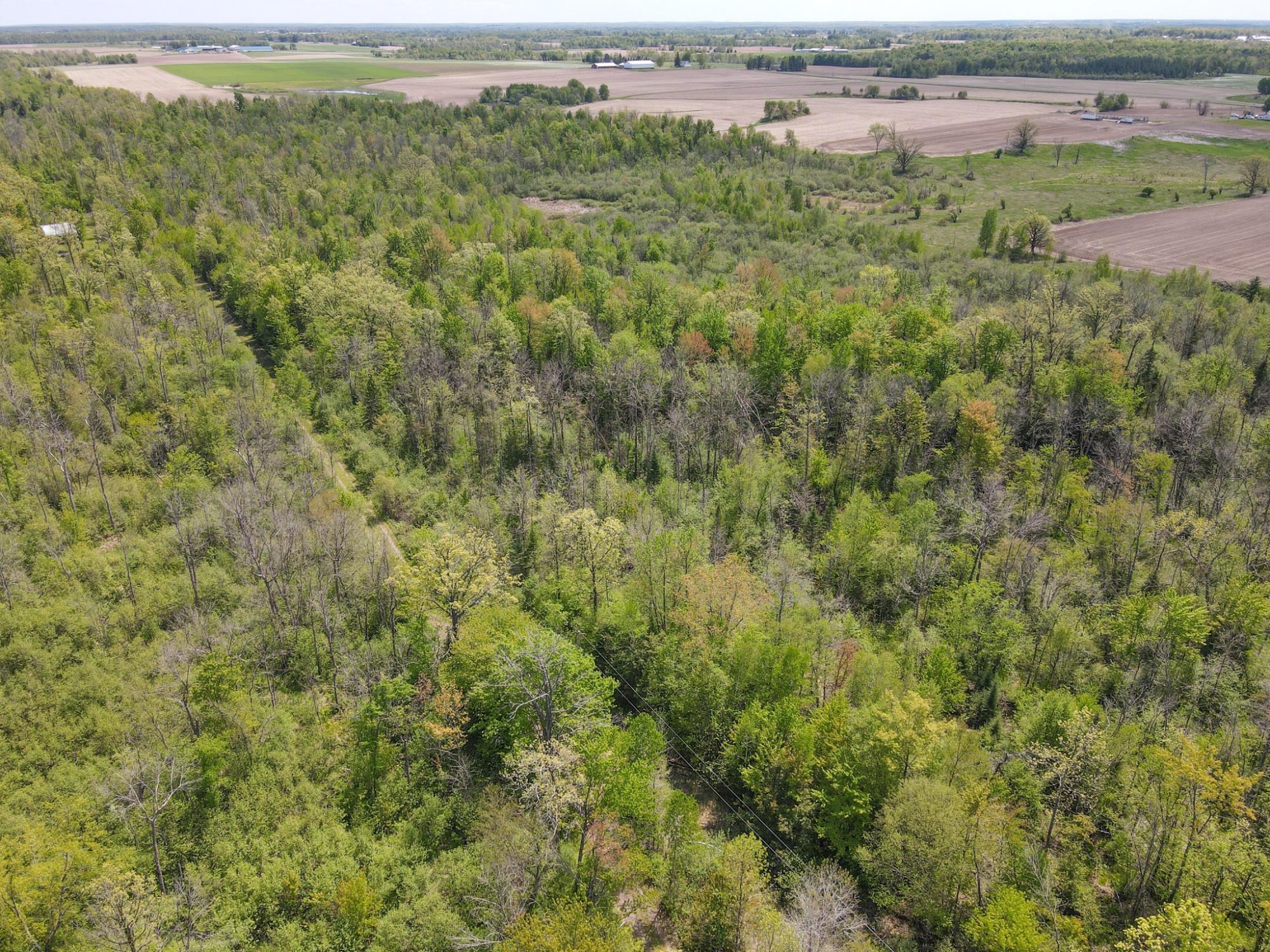 20 Acres on CLOVERLAND, Conrath, Wisconsin 54731, ,Land,For Sale,20 Acres on CLOVERLAND,22601088
