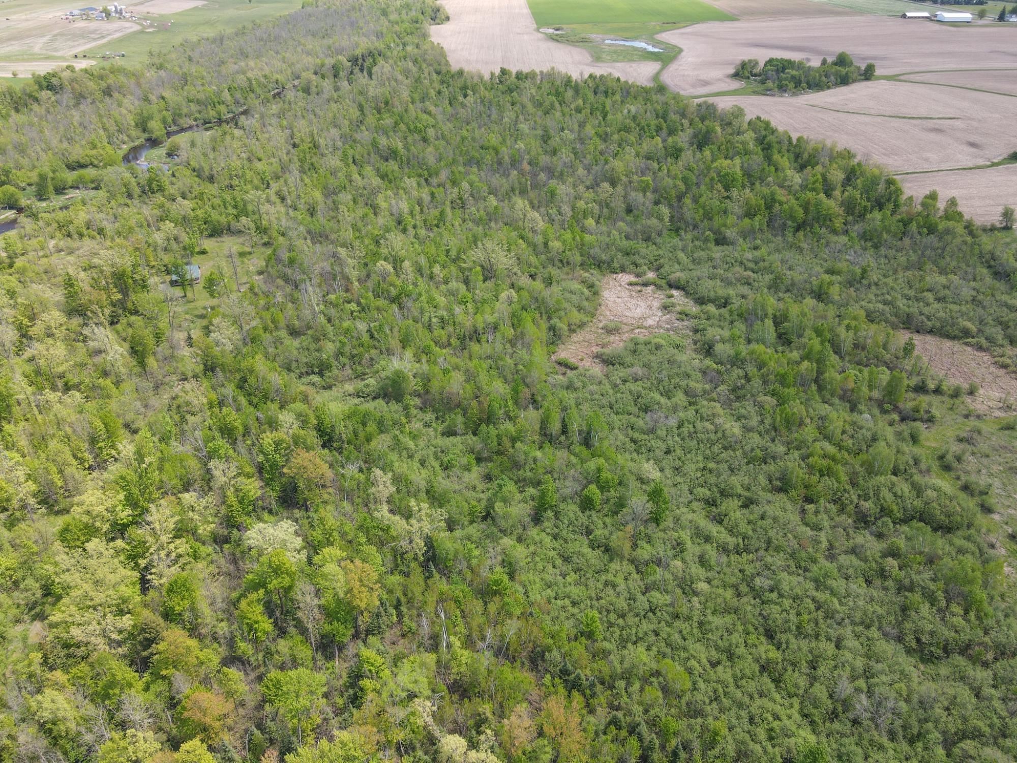 20 Acres on CLOVERLAND, Conrath, Wisconsin 54731, ,Land,For Sale,20 Acres on CLOVERLAND,22601088