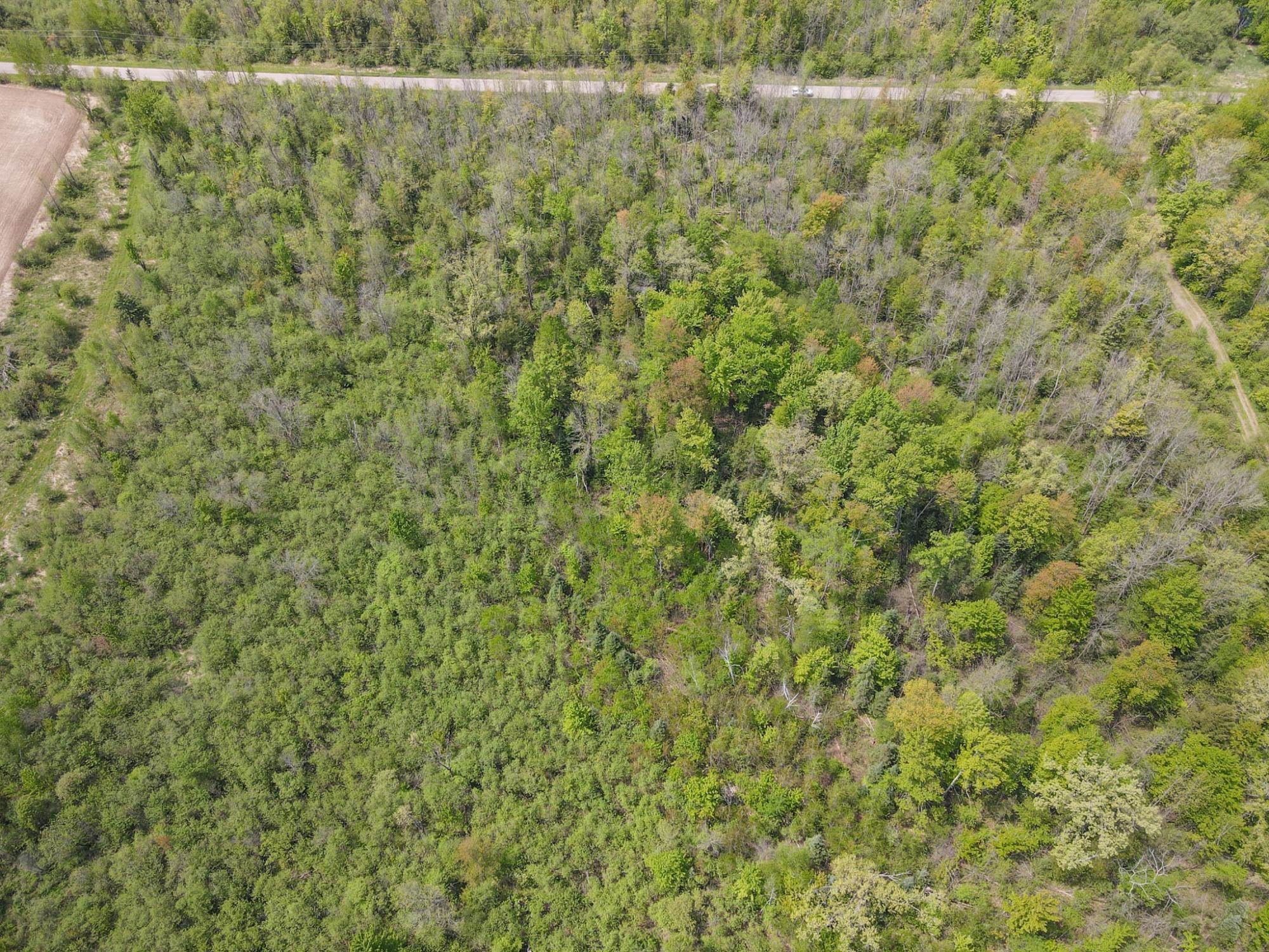 20 Acres on CLOVERLAND, Conrath, Wisconsin 54731, ,Land,For Sale,20 Acres on CLOVERLAND,22601088