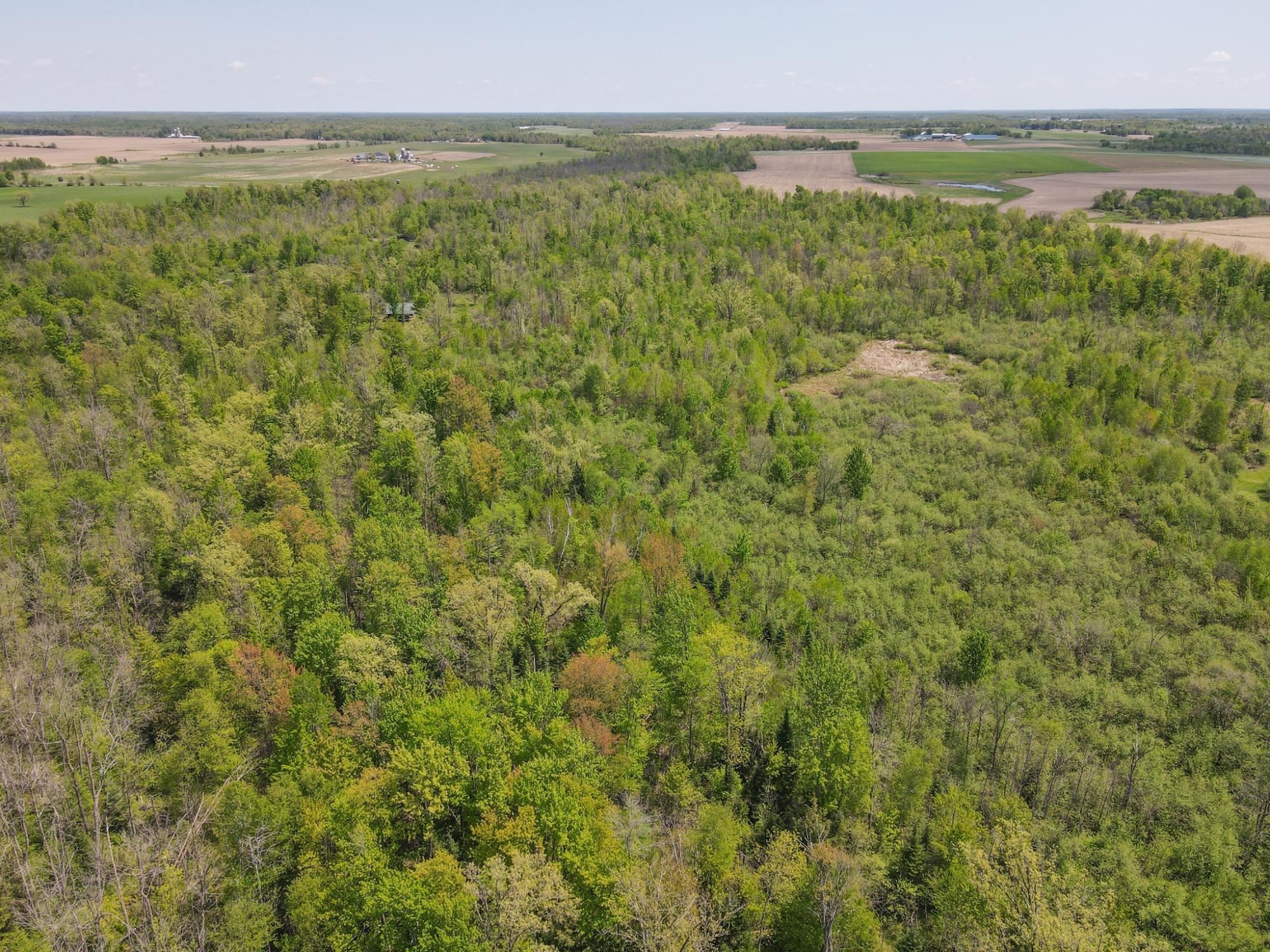 20 Acres on CLOVERLAND, Conrath, Wisconsin 54731, ,Land,For Sale,20 Acres on CLOVERLAND,22601088