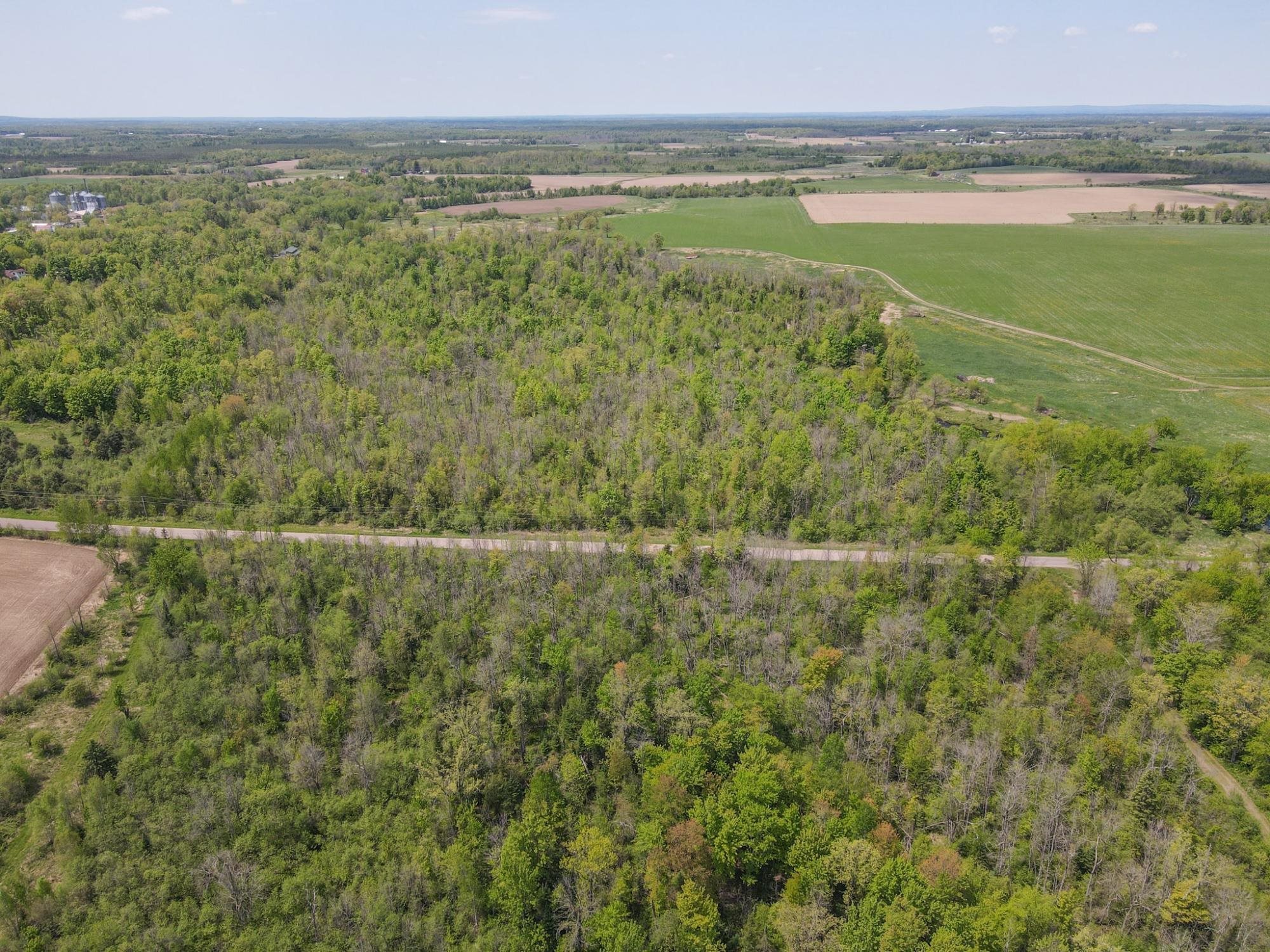 20 Acres on CLOVERLAND, Conrath, Wisconsin 54731, ,Land,For Sale,20 Acres on CLOVERLAND,22601088