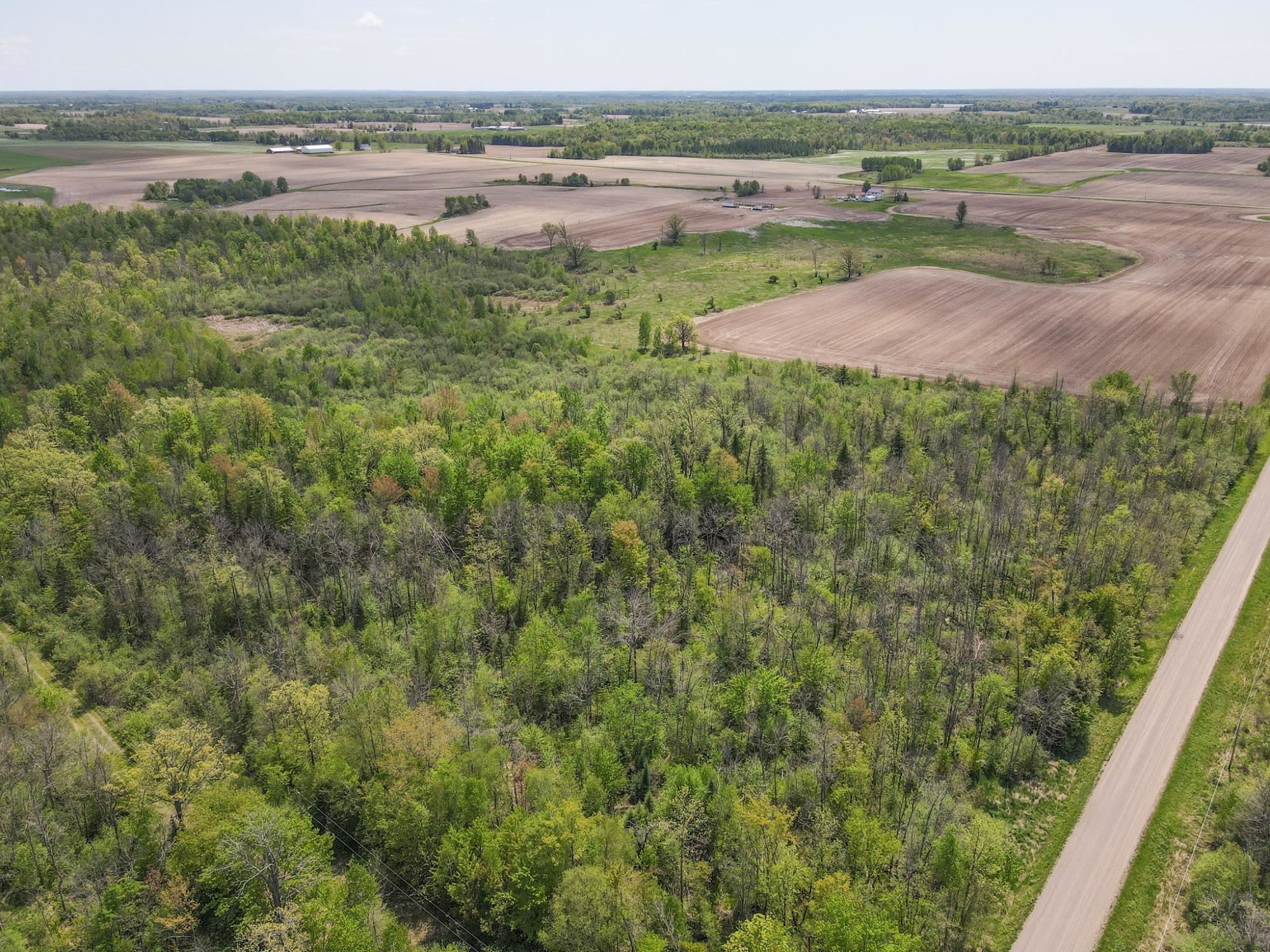 20 Acres on CLOVERLAND, Conrath, Wisconsin 54731, ,Land,For Sale,20 Acres on CLOVERLAND,22601088