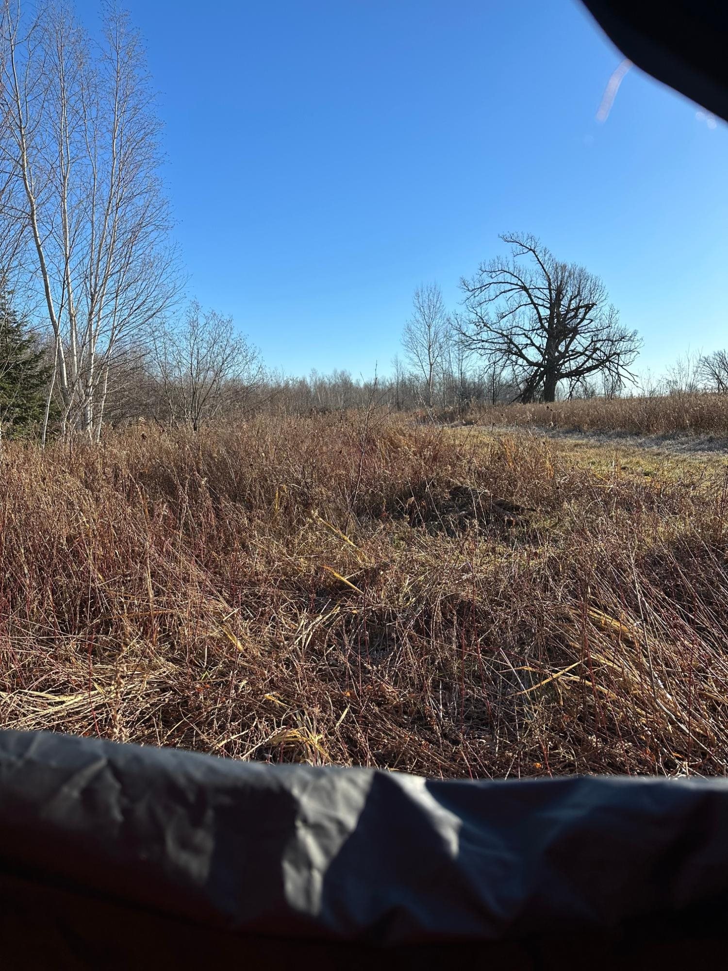 20 Acres on CLOVERLAND, Conrath, Wisconsin 54731, ,Land,For Sale,20 Acres on CLOVERLAND,22601088
