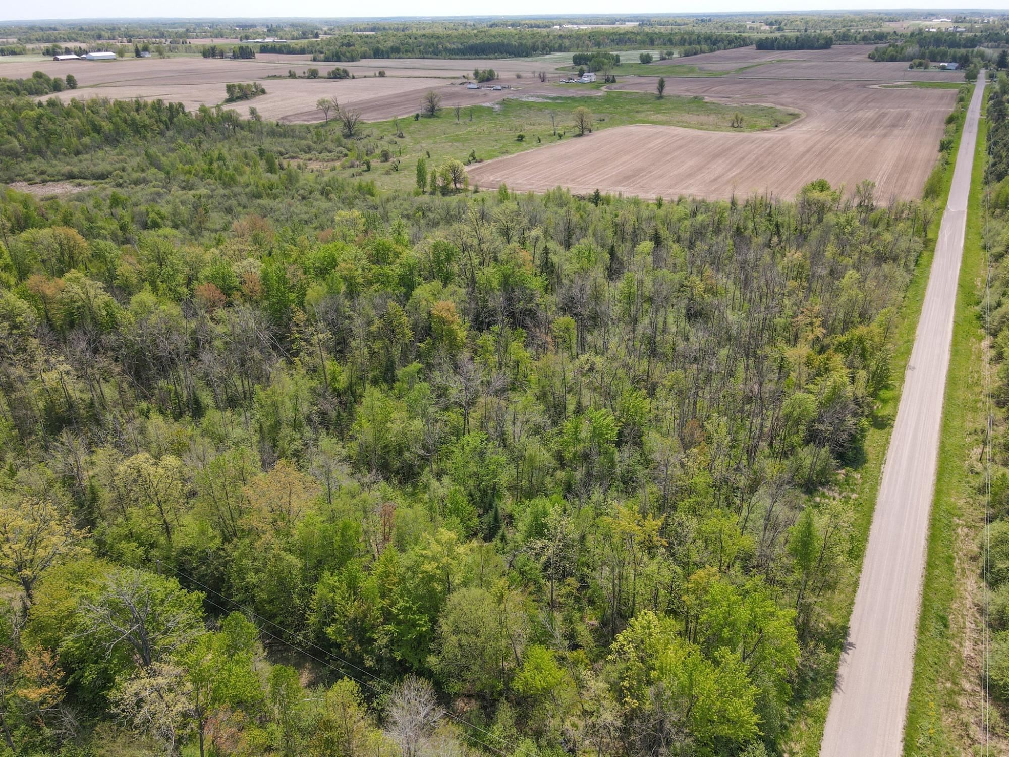 20 Acres on CLOVERLAND, Conrath, Wisconsin 54731, ,Land,For Sale,20 Acres on CLOVERLAND,22601088
