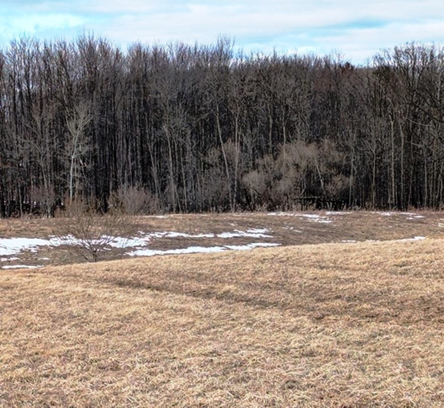 Sec 11 CROW ROAD, Willard, Wisconsin 54493, ,Land,For Sale,Sec 11 CROW ROAD,22601093