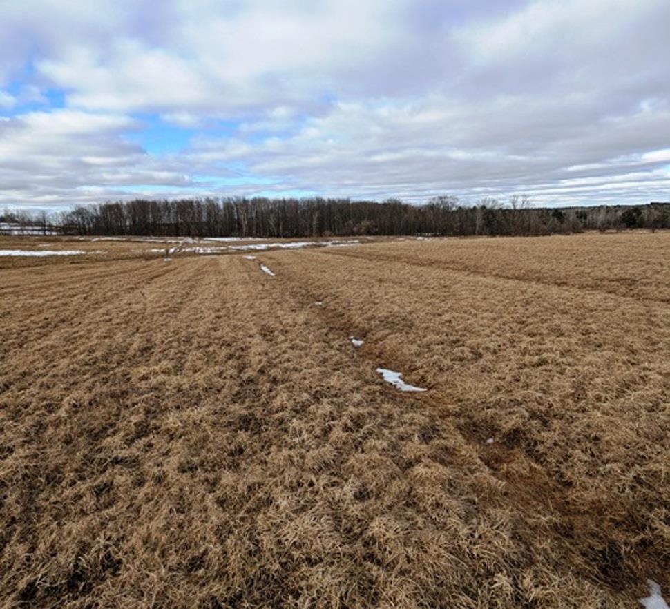 Sec 11 CROW ROAD, Willard, Wisconsin 54493, ,Land,For Sale,Sec 11 CROW ROAD,22601093