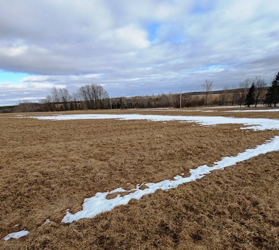 Sec 11 CROW ROAD, Willard, Wisconsin 54493, ,Land,For Sale,Sec 11 CROW ROAD,22601093