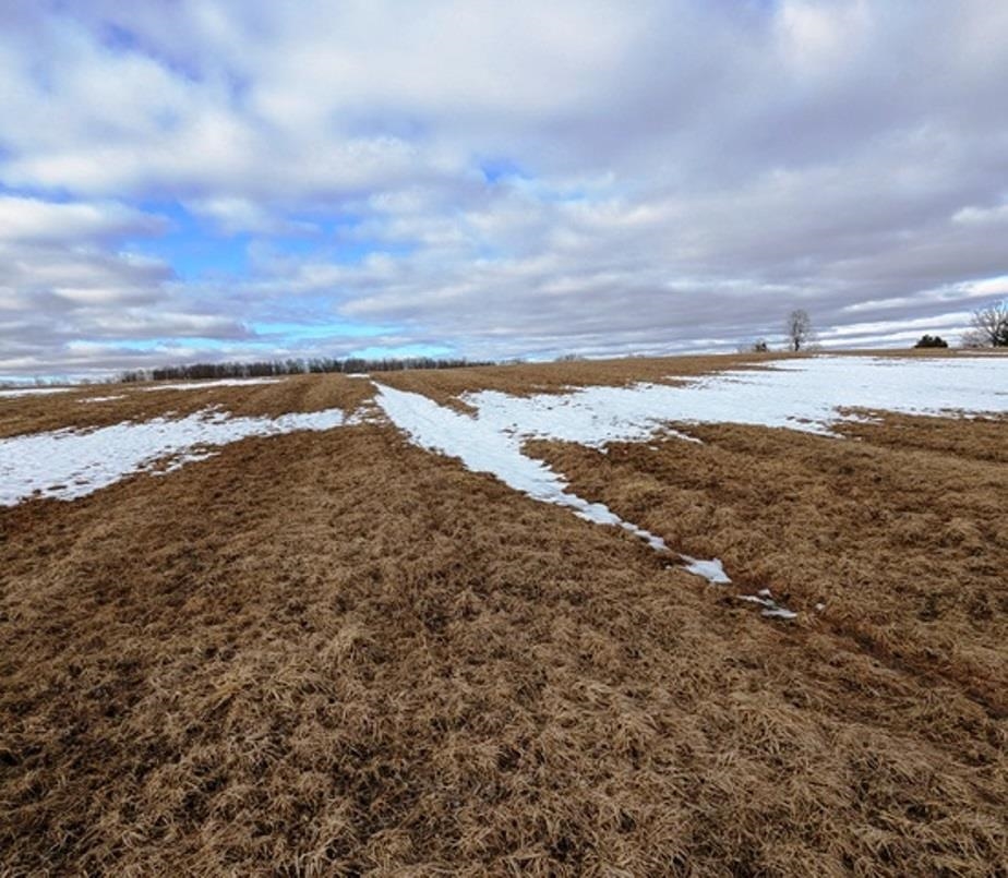 Sec 11 CROW ROAD, Willard, Wisconsin 54493, ,Land,For Sale,Sec 11 CROW ROAD,22601093