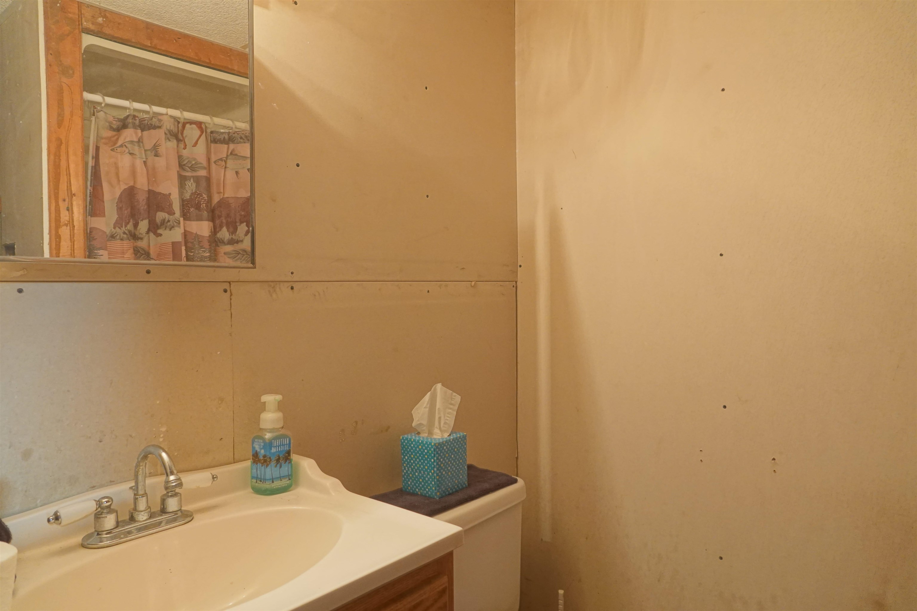 338 N FRANKLIN STREET, Stetsonville, Wisconsin 54480, 3 Bedrooms Bedrooms, ,2 BathroomsBathrooms,Residential,For Sale,338 N FRANKLIN STREET,22601118