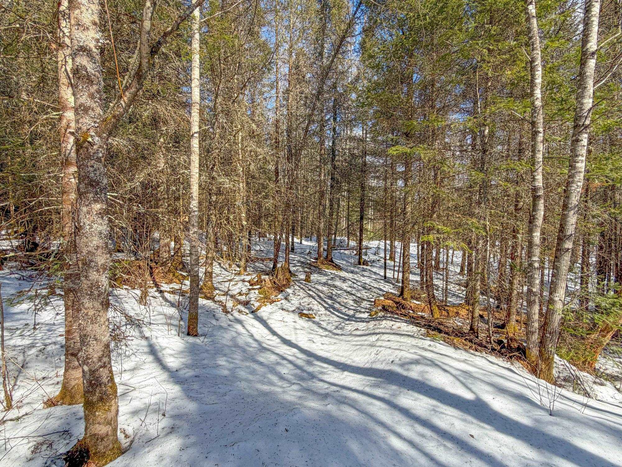 W6213 HOEFFERLE ROAD, Park Falls, Wisconsin 54552, 3 Bedrooms Bedrooms, ,2 BathroomsBathrooms,Residential,For Sale,W6213 HOEFFERLE ROAD,22601143