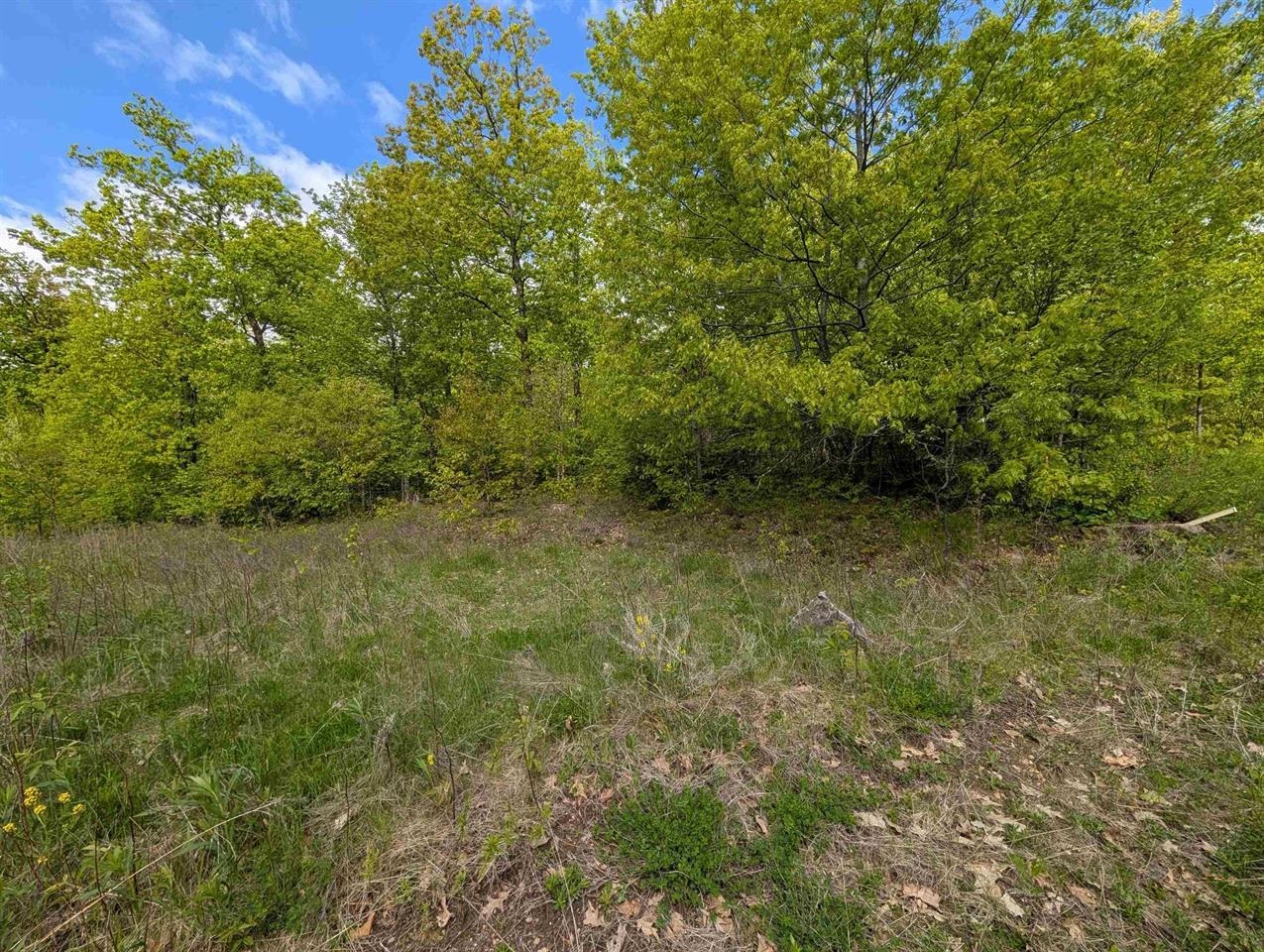 Lot 7 ACORN RIDGE ESTATES SUBDIVISION, Mosinee, Wisconsin 54455, ,Land,For Sale,Lot 7 ACORN RIDGE ESTATES SUBDIVISION,22601161