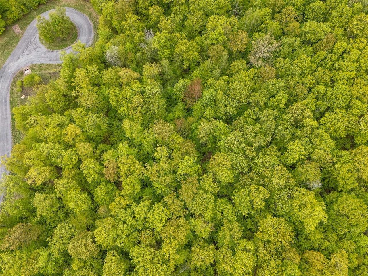 Lot 7 ACORN RIDGE ESTATES SUBDIVISION, Mosinee, Wisconsin 54455, ,Land,For Sale,Lot 7 ACORN RIDGE ESTATES SUBDIVISION,22601161
