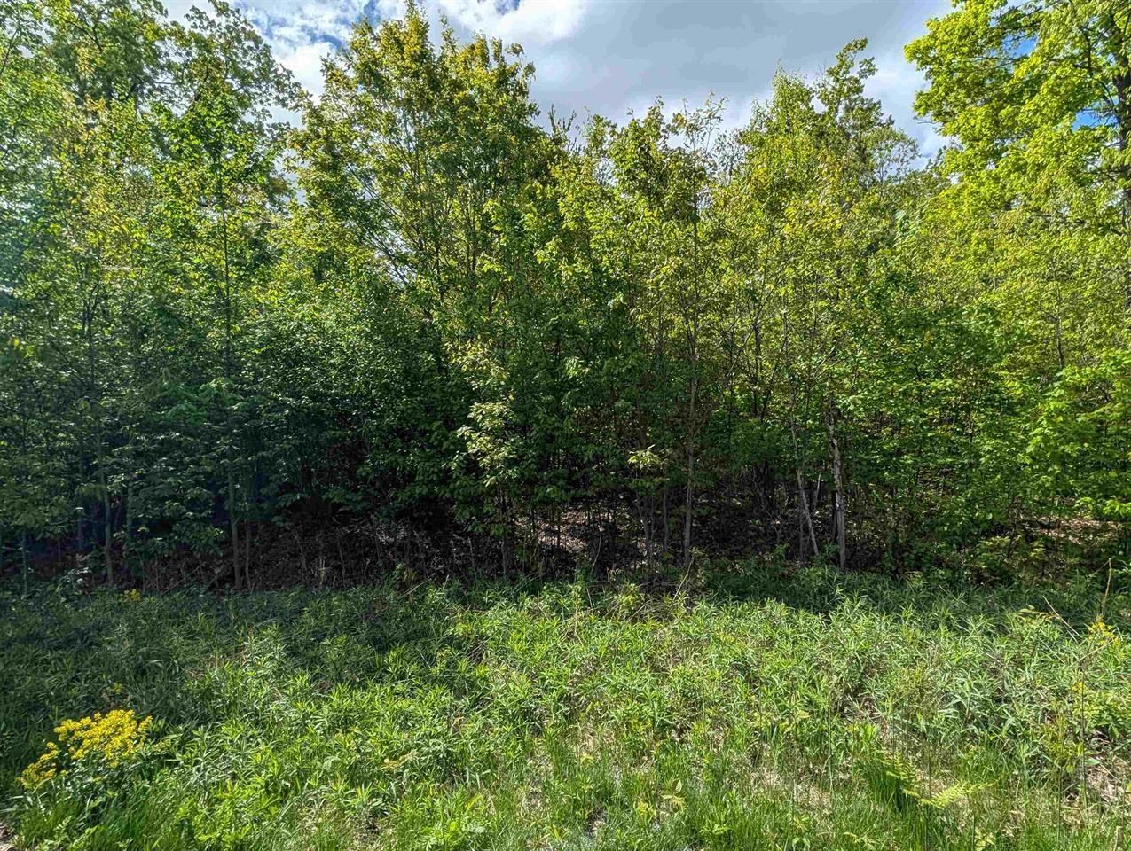 Lot 10 ACORN RIDGE ESTATES SUBDIVISION, Mosinee, Wisconsin 54455, ,Land,For Sale,Lot 10 ACORN RIDGE ESTATES SUBDIVISION,22601164