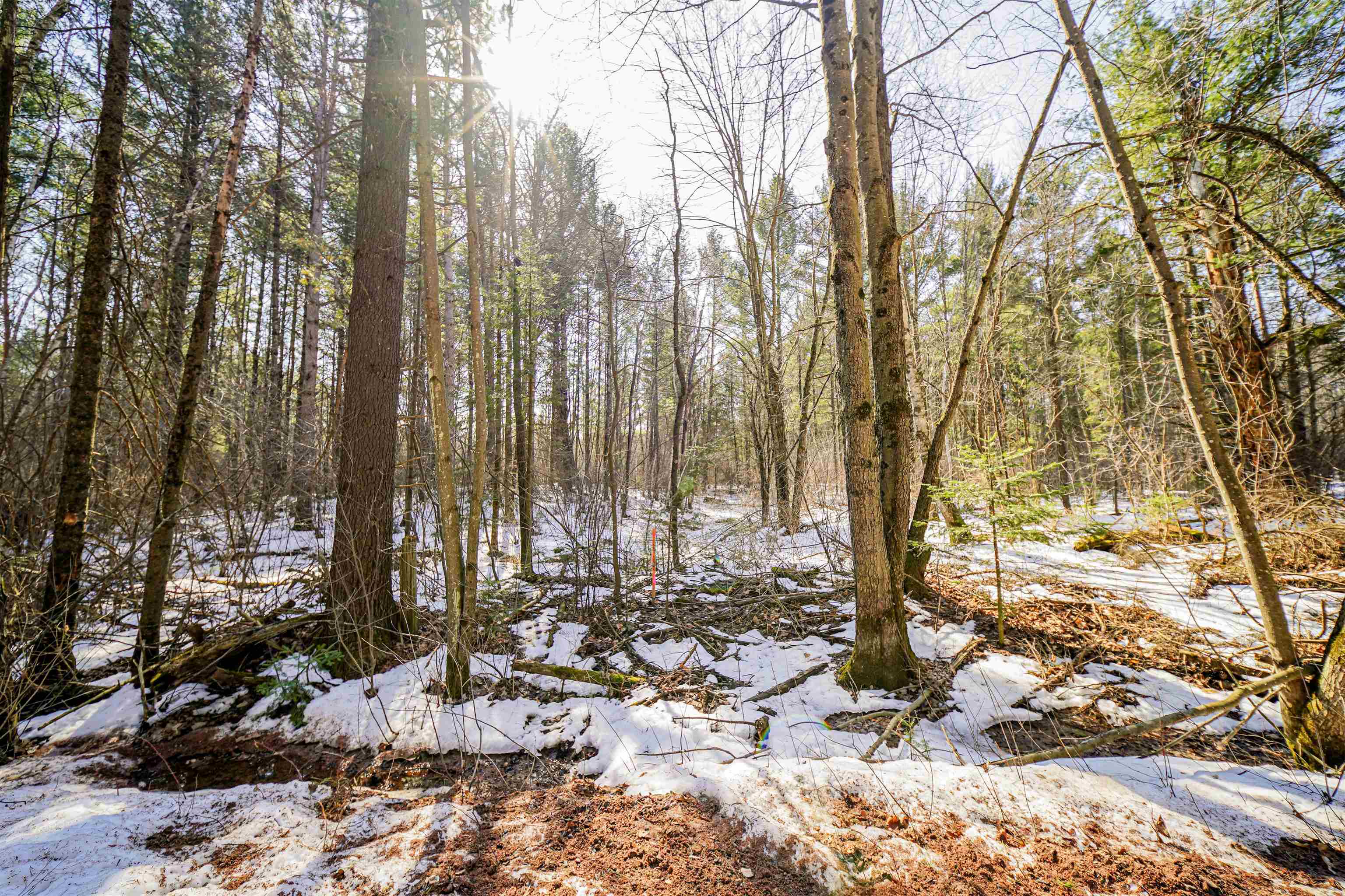 Lot 1 & 2 CREEK AVENUE, Merrill, Wisconsin 54452, ,Land,For Sale,Lot 1 & 2 CREEK AVENUE,22601166