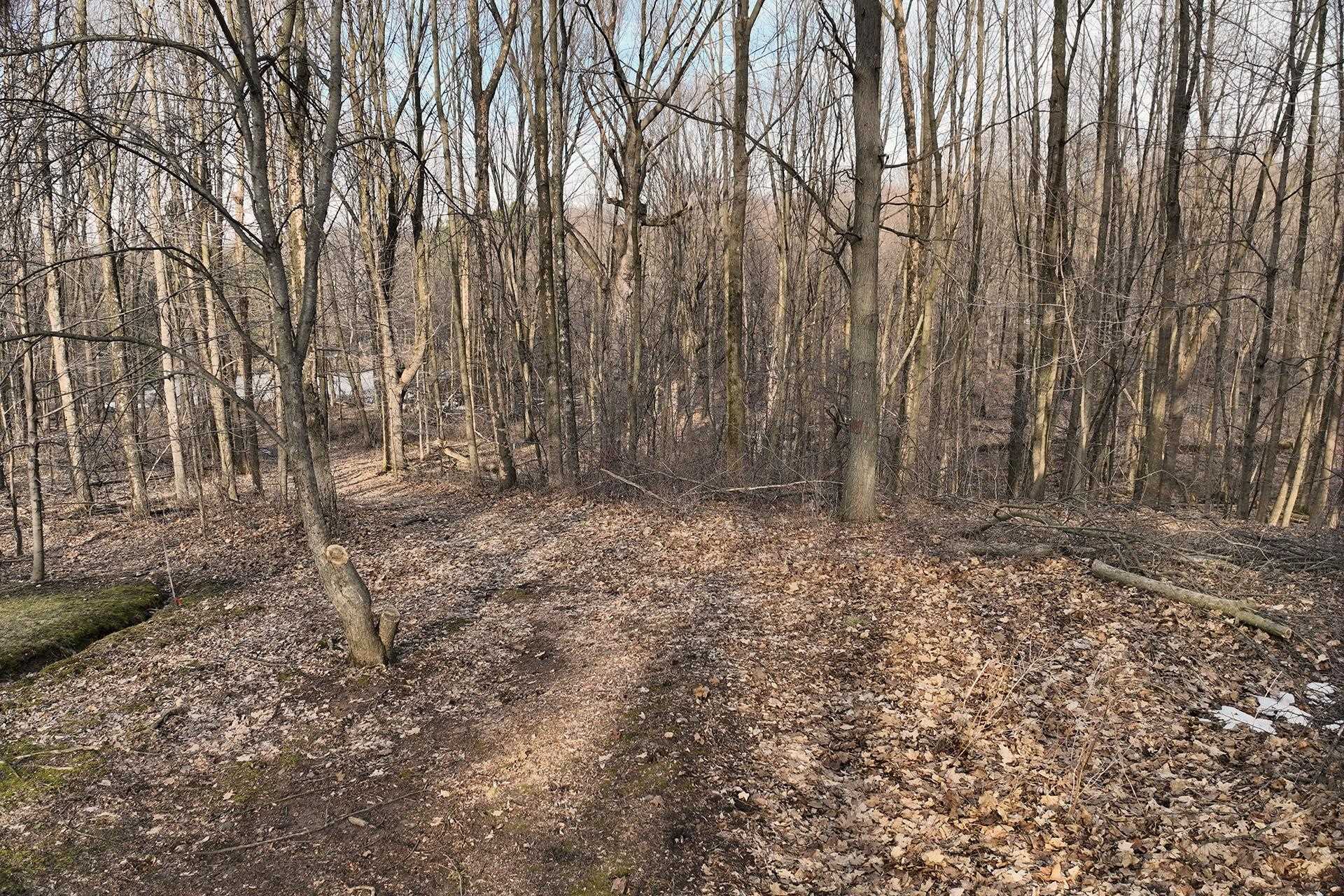 8.24 Acres RIDGE ROAD, Neillsville, Wisconsin 54456, ,Land,For Sale,8.24 Acres RIDGE ROAD,22601171