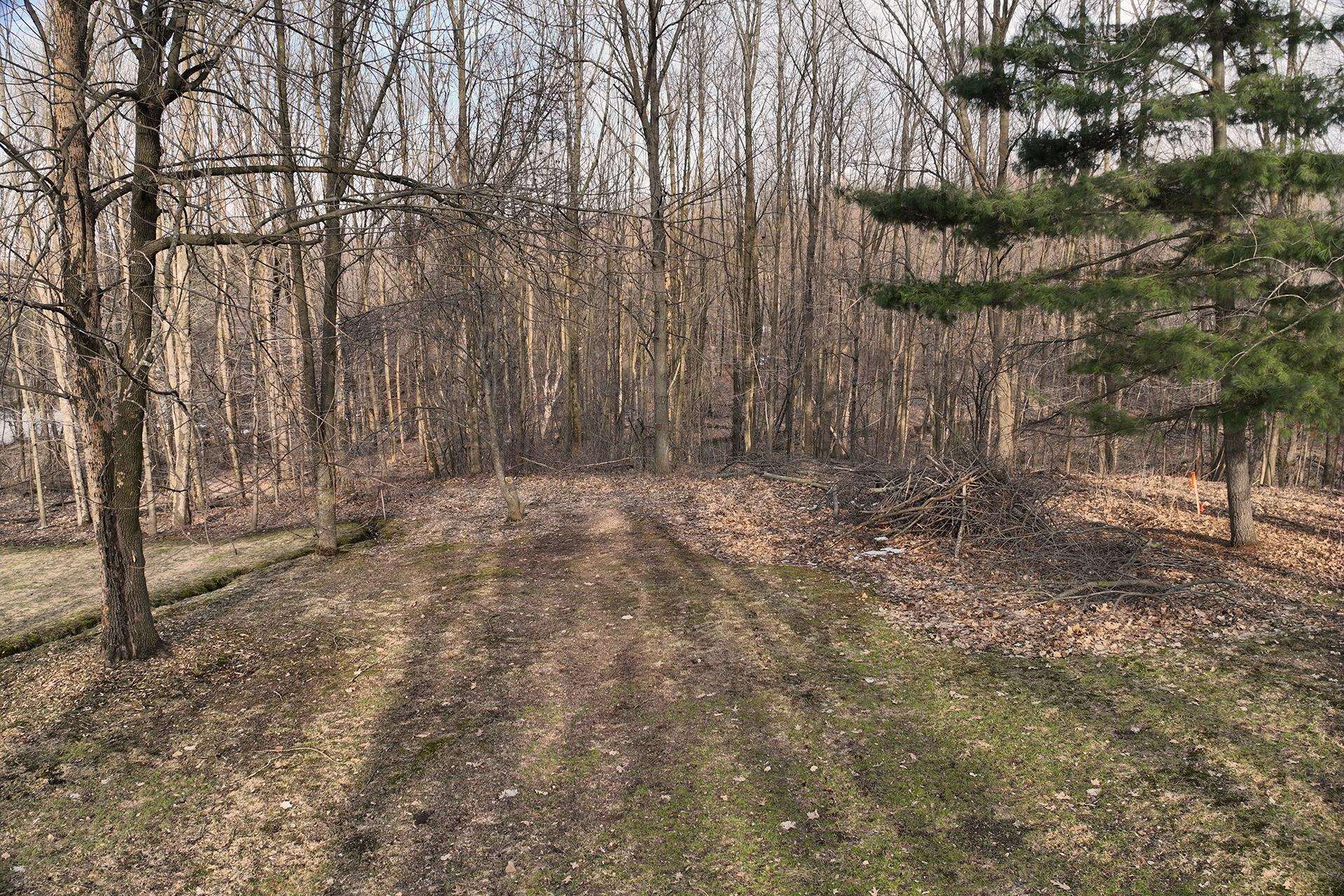 8.24 Acres RIDGE ROAD, Neillsville, Wisconsin 54456, ,Land,For Sale,8.24 Acres RIDGE ROAD,22601171
